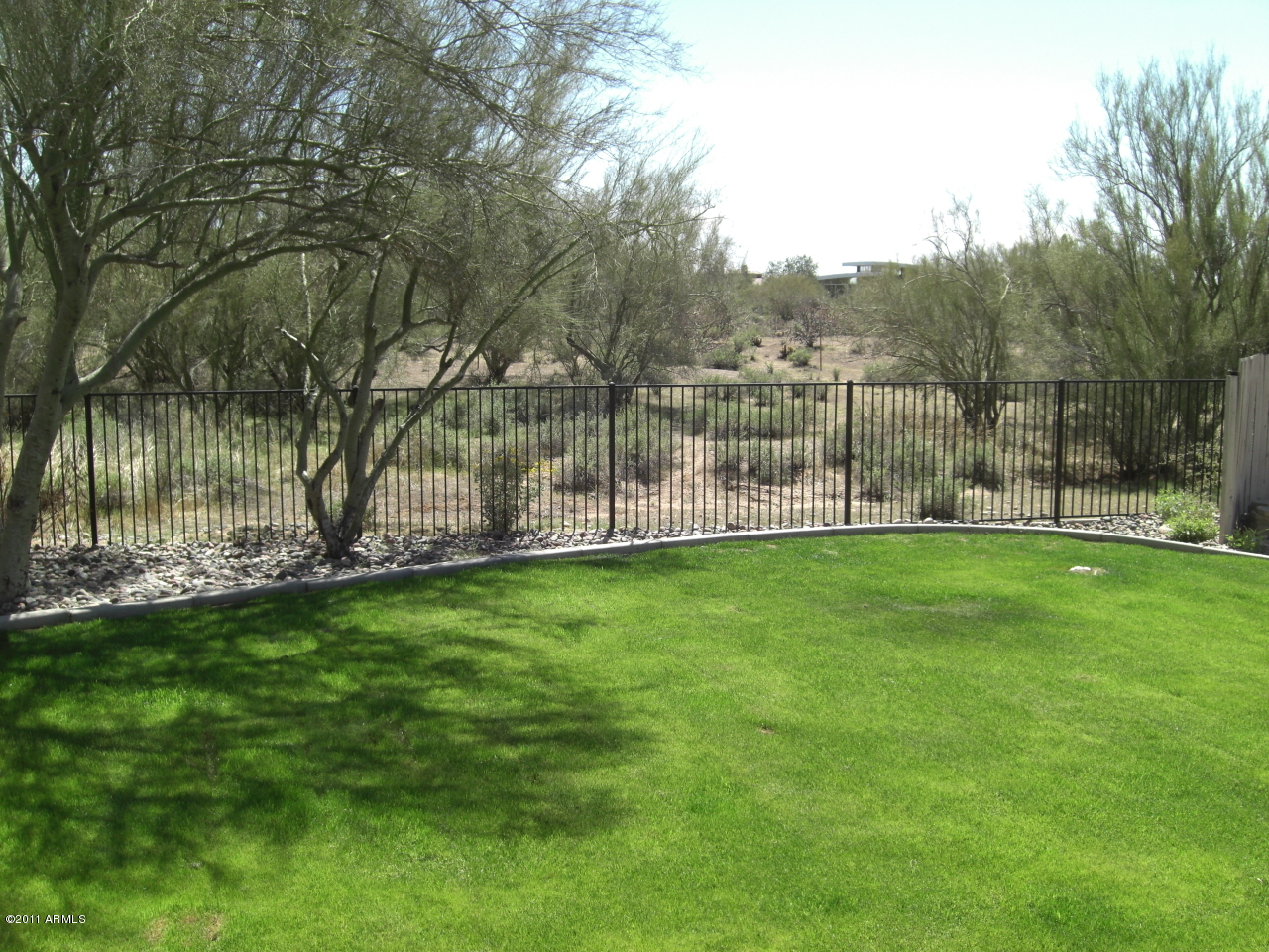 31236 North Sunrise Ranch Road Cave Creek, AZ 85331 - Photo 16 of 25 Backyard