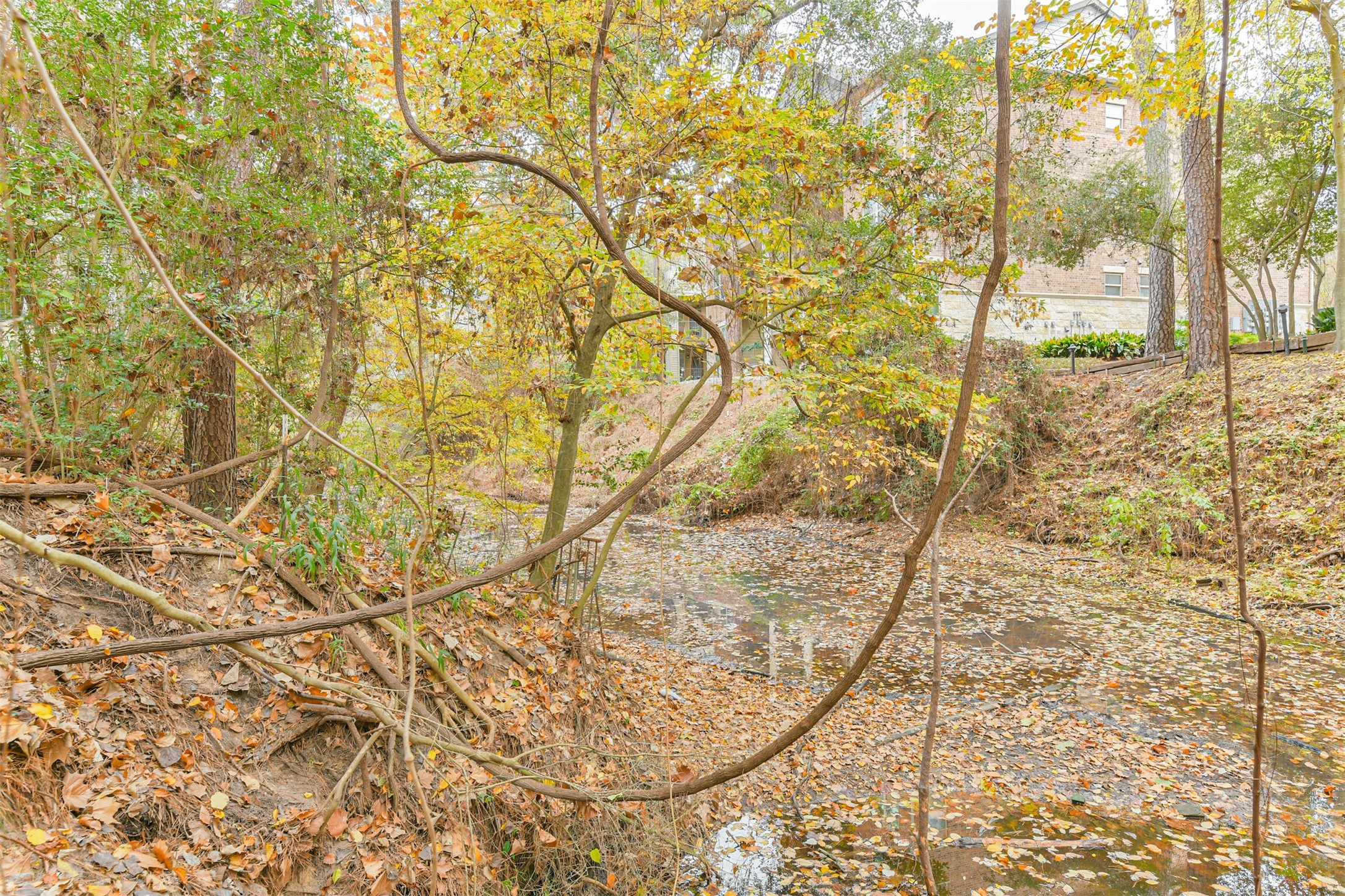 12636 Briar Patch Drive Houston, TX 77077 - Photo 42 of 43 Behind this townhouse is wooded with the bayou/ravine.