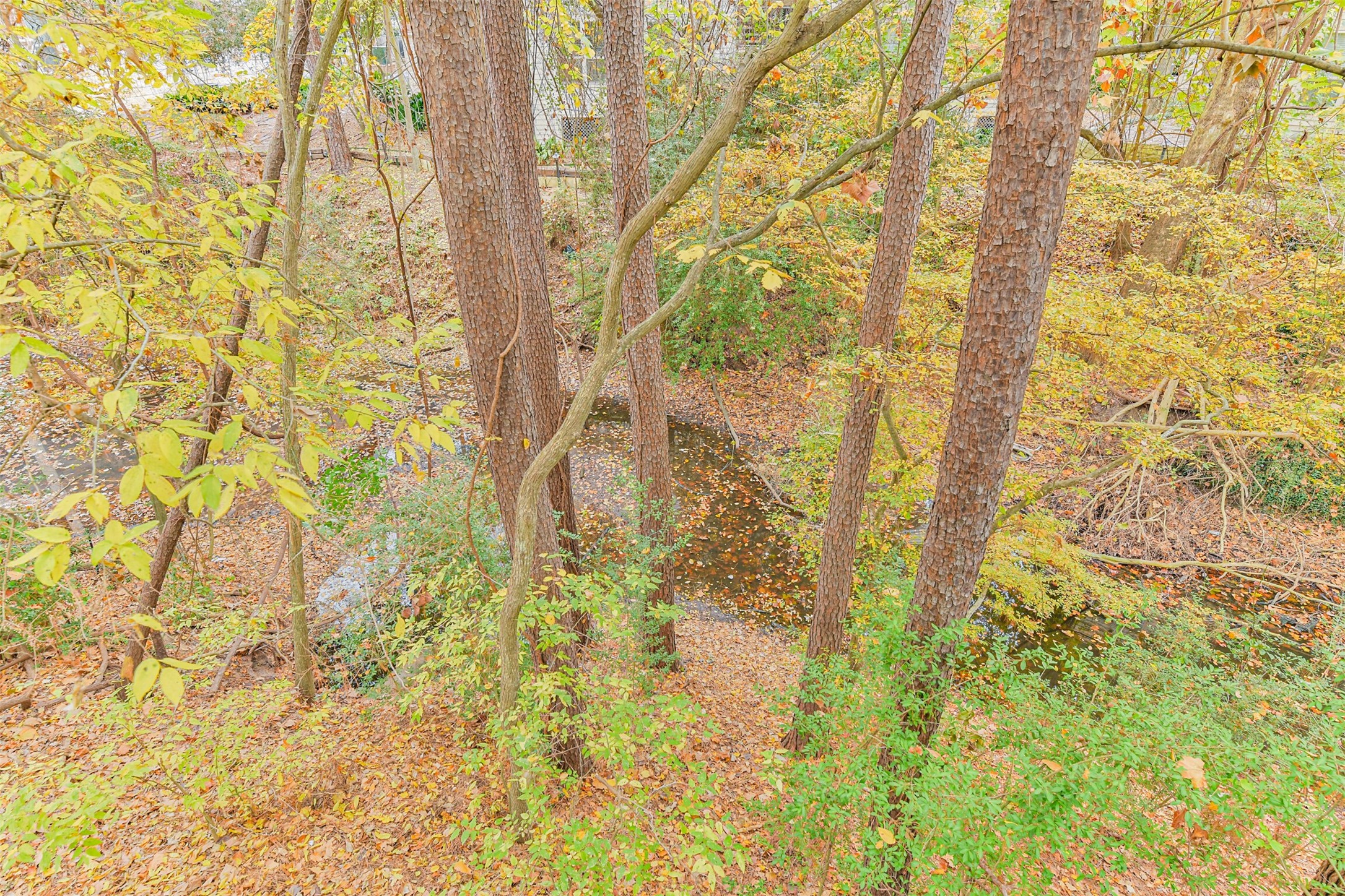 12636 Briar Patch Drive Houston, TX 77077 - Photo 43 of 43 Other home features include: Sprinkler system, neighborhood pool and jogging path.