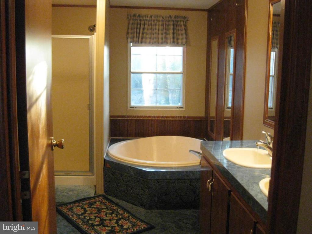 33233 Bob Smith Road Parsonsburg, MD 21849 - Photo 9 of 10 a bathroom with a sink and a bathtub