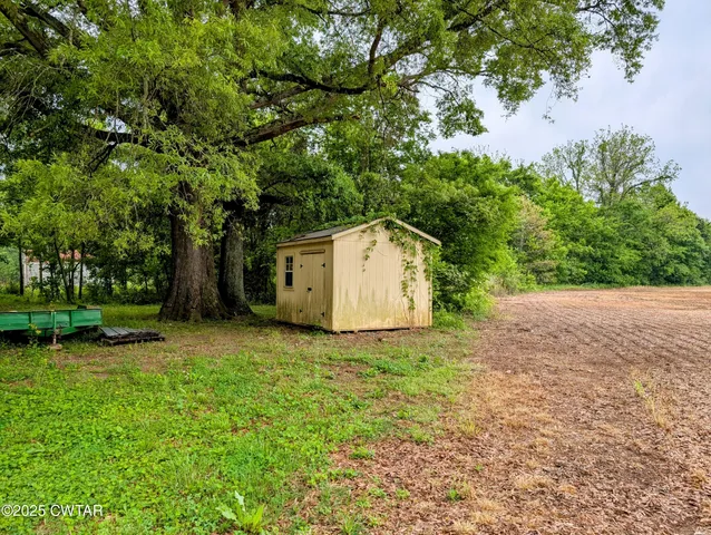 a backyard of a house with plants and large trees