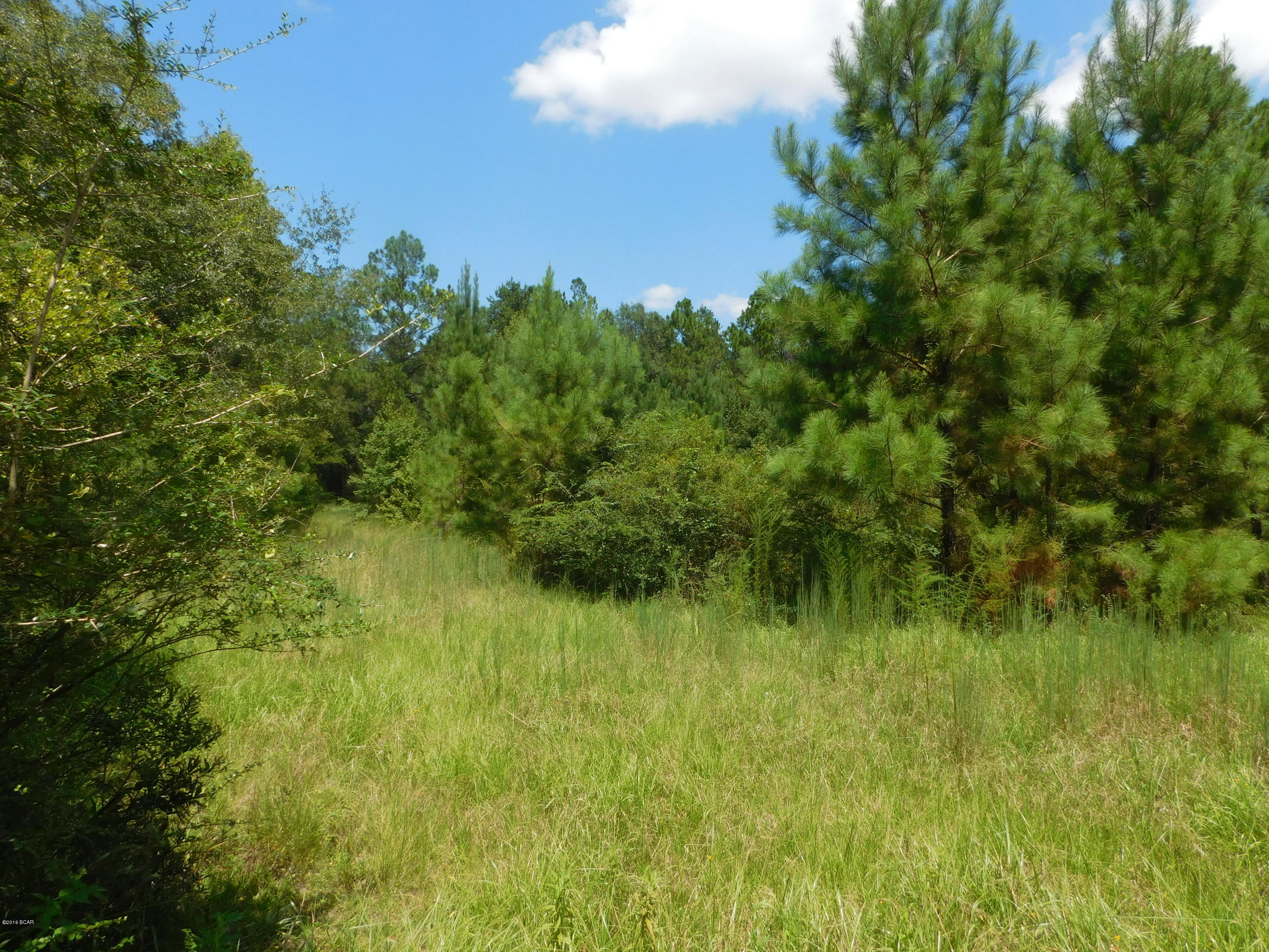 0 Douglas Ferry Road Caryville, FL 32427 - Photo 1 of 6 Gallery Image 1