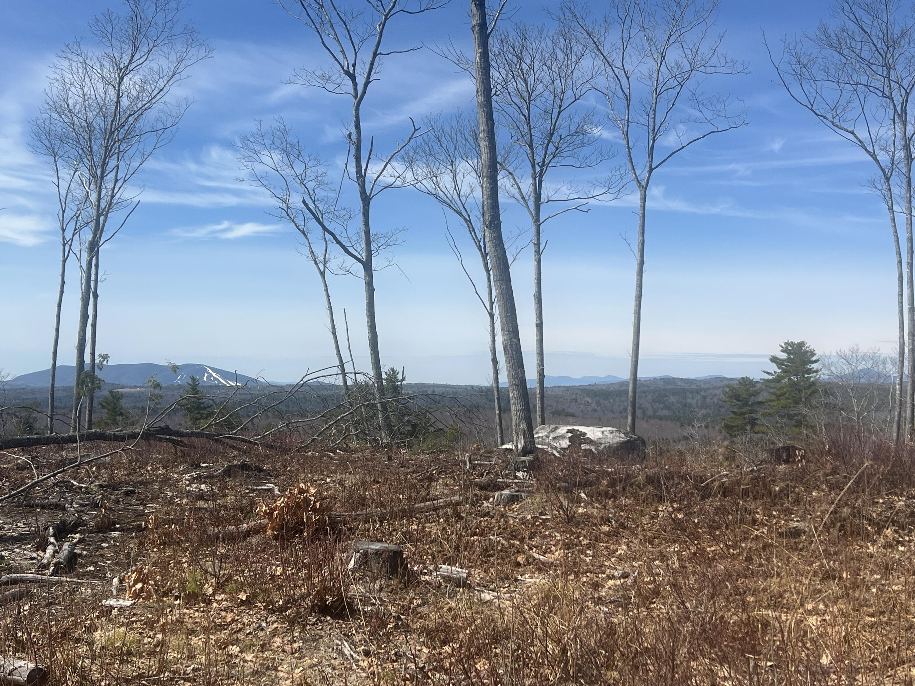 Tbd Deer Hill Road Harrison, ME 04040 - Photo 2 of 14 IMG_0294