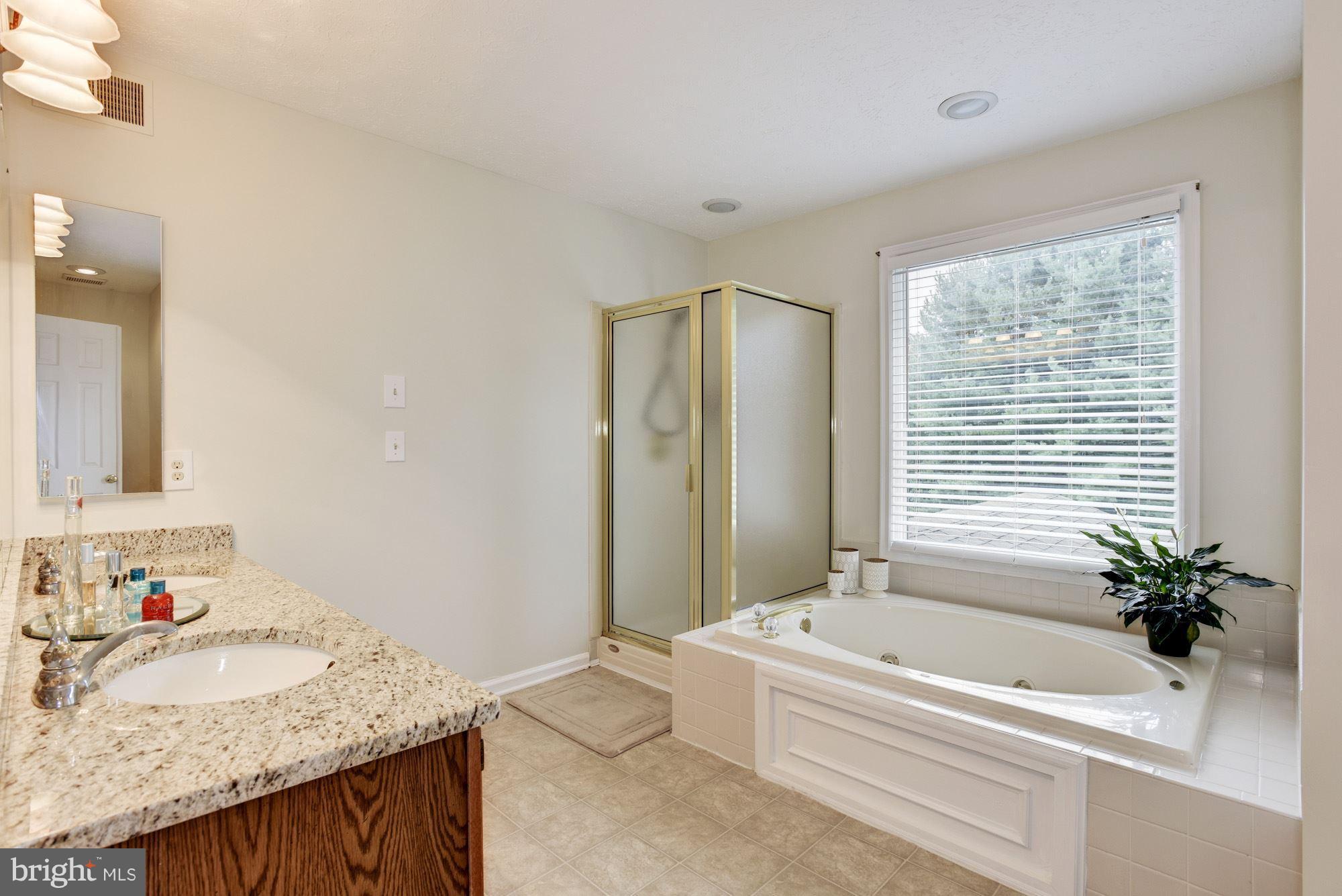 10273 Wetherburn Road Ellicott City, MD 21042 - Photo 17 of 28 Master Bath
