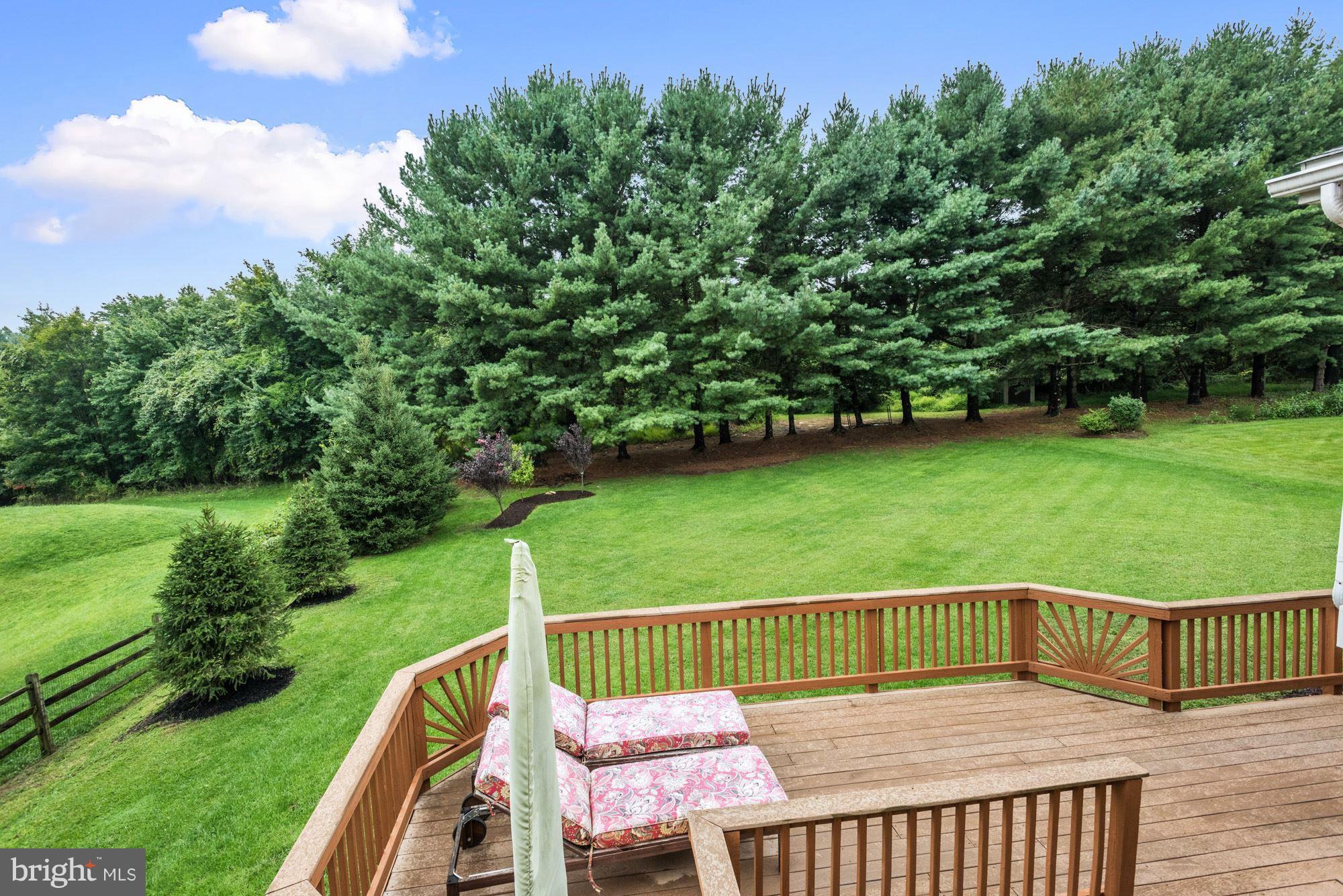 10273 Wetherburn Road Ellicott City, MD 21042 - Photo 26 of 28 Deck