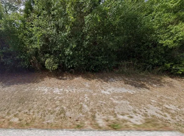 a view of outdoor space and yard