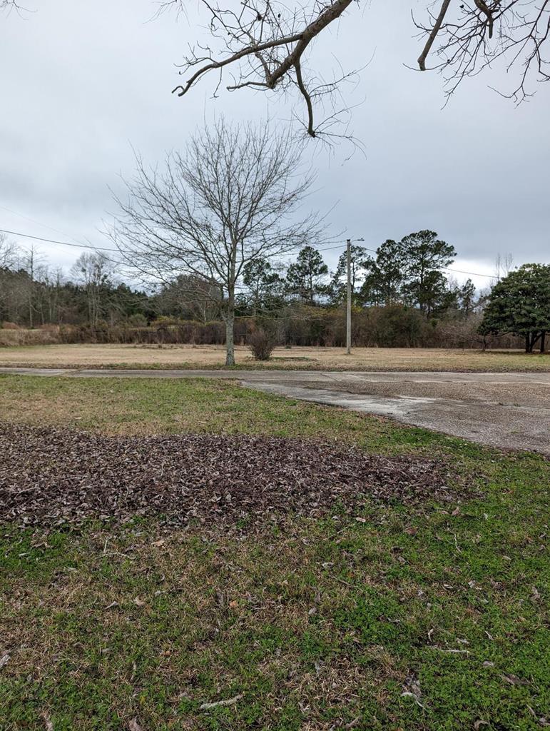 6002 Goat Hill Road Samson, AL 36477 - Photo 4 of 43
