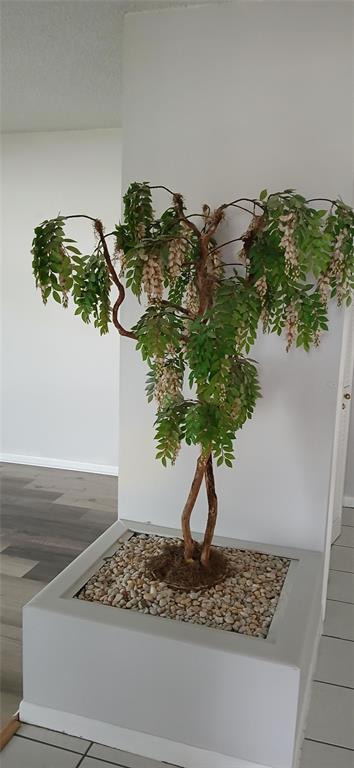 738 Flamingo Drive Apollo Beach, FL 33572 - Photo 5 of 15 a vase of flowers sitting on a table