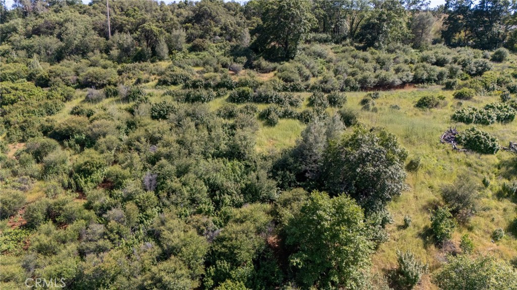 13520 Point Lakeview Road Lower Lake, CA 95457 - Photo 2 of 31