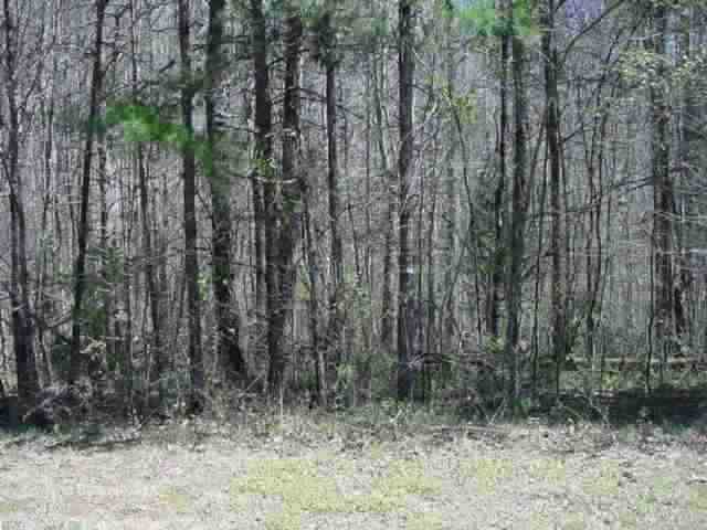 547-548 Pine Ridge Westminster, SC 29693 - Photo 5 of 8 Gallery Image 5