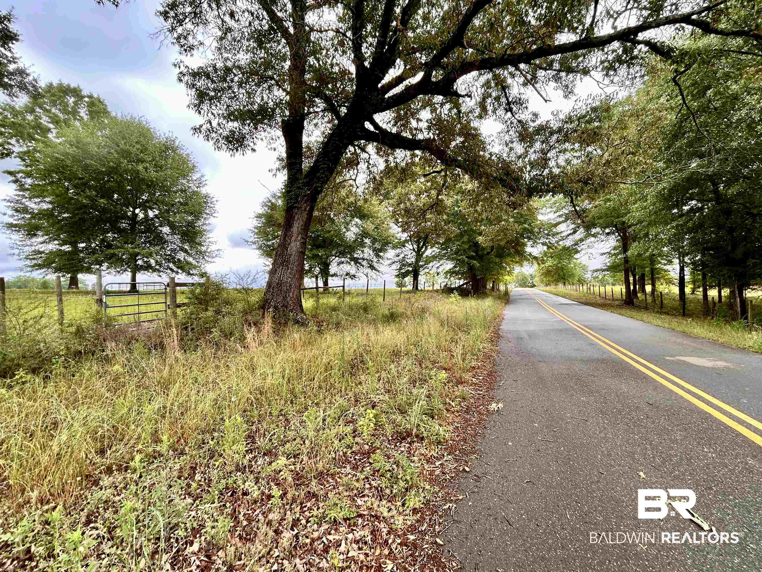 822 Dogwood Road Brewton, AL 36426 - Photo 5 of 5