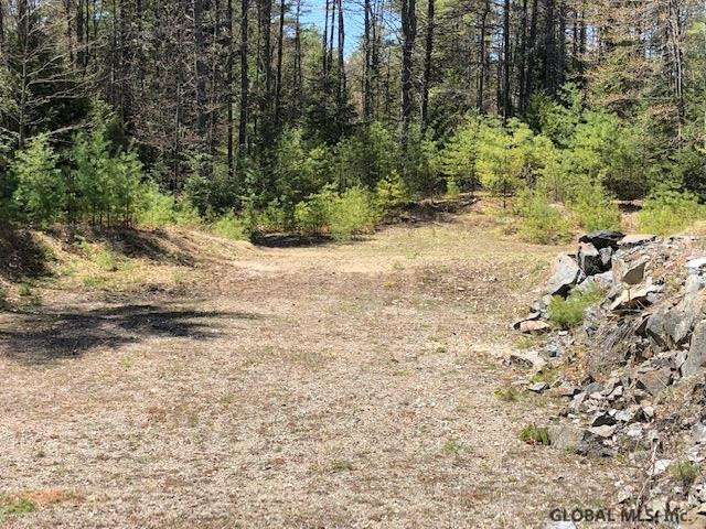 68 Stage Coach Road Chestertown, NY 12817 - Photo 1 of 9 Photo 1