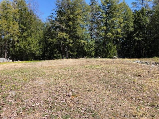 68 Stage Coach Road Chestertown, NY 12817 - Photo 2 of 9 Photo 2