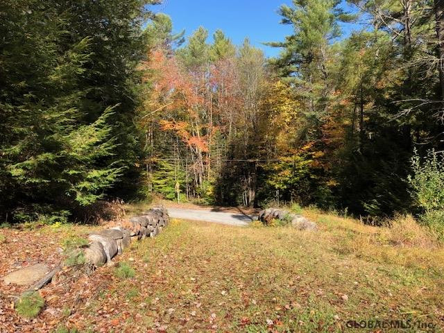 68 Stage Coach Road Chestertown, NY 12817 - Photo 3 of 9 Photo 3