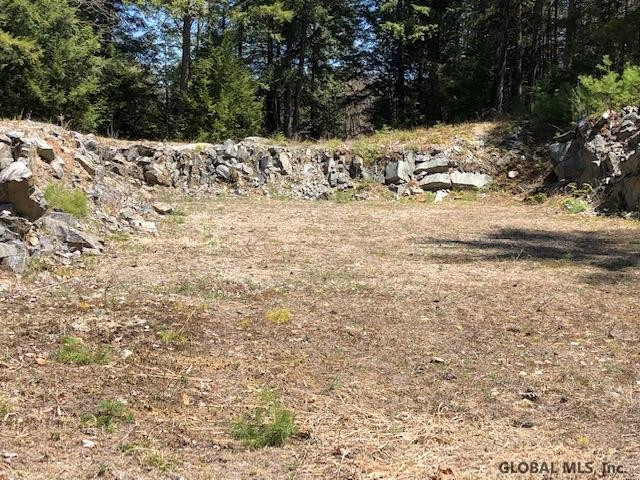 68 Stage Coach Road Chestertown, NY 12817 - Photo 6 of 9 Photo 6