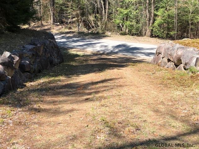 68 Stage Coach Road Chestertown, NY 12817 - Photo 8 of 9 Photo 8