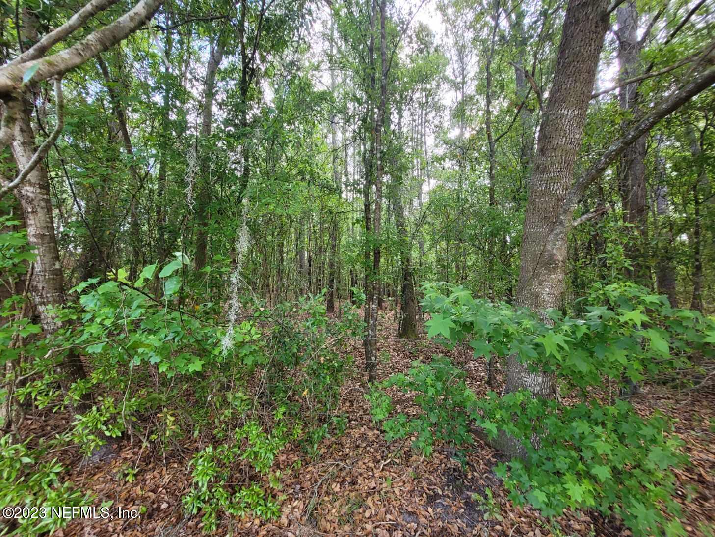 2777 County Road 220 Middleburg, FL 32068 - Photo 16 of 33 Resized_20230325_094330