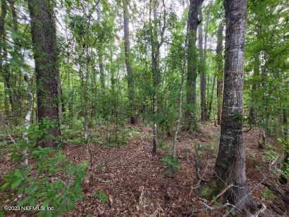 2777 County Road 220 Middleburg, FL 32068 - Photo 24 of 33 Resized_20230325_094905