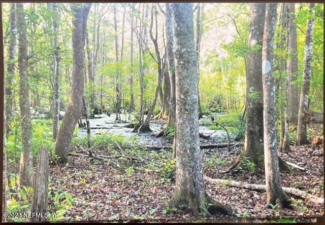 2777 County Road 220 Middleburg, FL 32068 - Photo 30 of 33 Doc Apr 20, 2023, 10.11-4