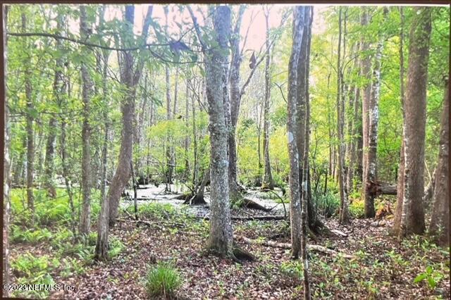 2777 County Road 220 Middleburg, FL 32068 - Photo 31 of 33 Doc Apr 20, 2023, 10.11-5