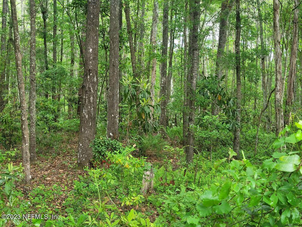 2777 County Road 220 Middleburg, FL 32068 - Photo 33 of 33 Resized_20230325_100914