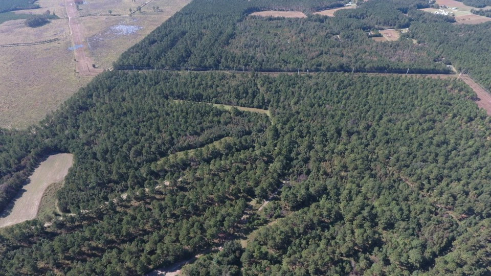 250 Edwin Road Lane, SC 29564 - Photo 25 of 27