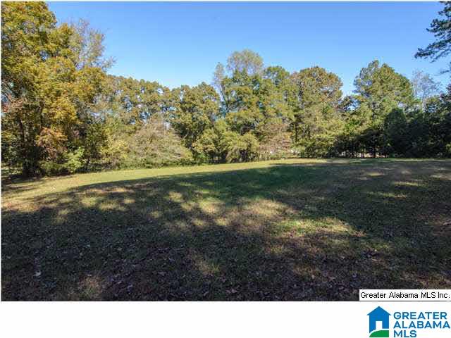 245 Chimney Rock Road Southwest Leeds, AL 35094 - Photo 32 of 32