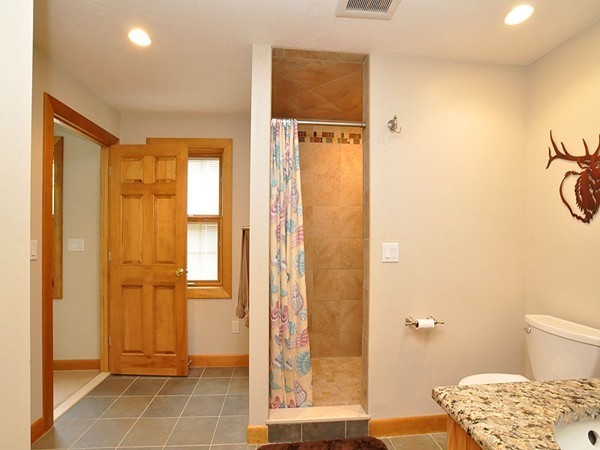 22 Hudson Road Stow, MA 01775 - Photo 19 of 28 a view of a bathroom with a shower and a toilet