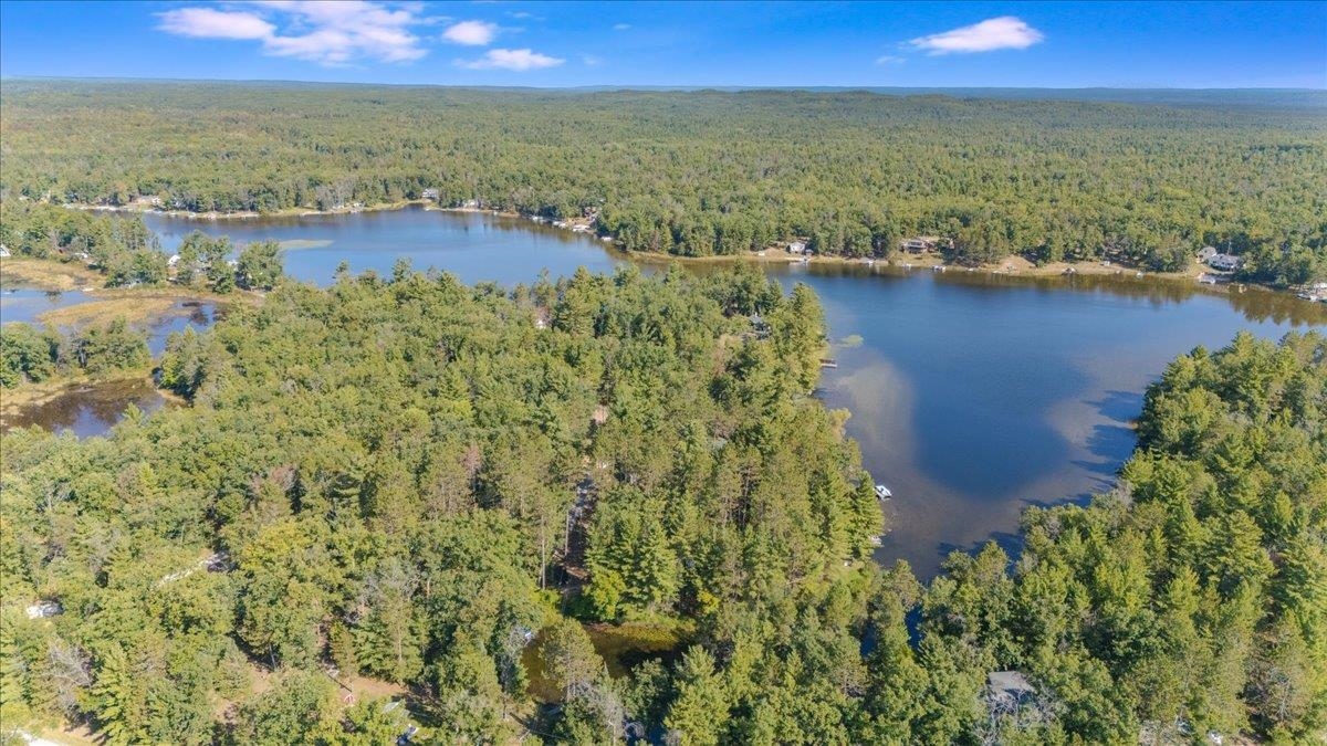 8200 Chain Lake Road South Branch, MI 48761 - Photo 6 of 45