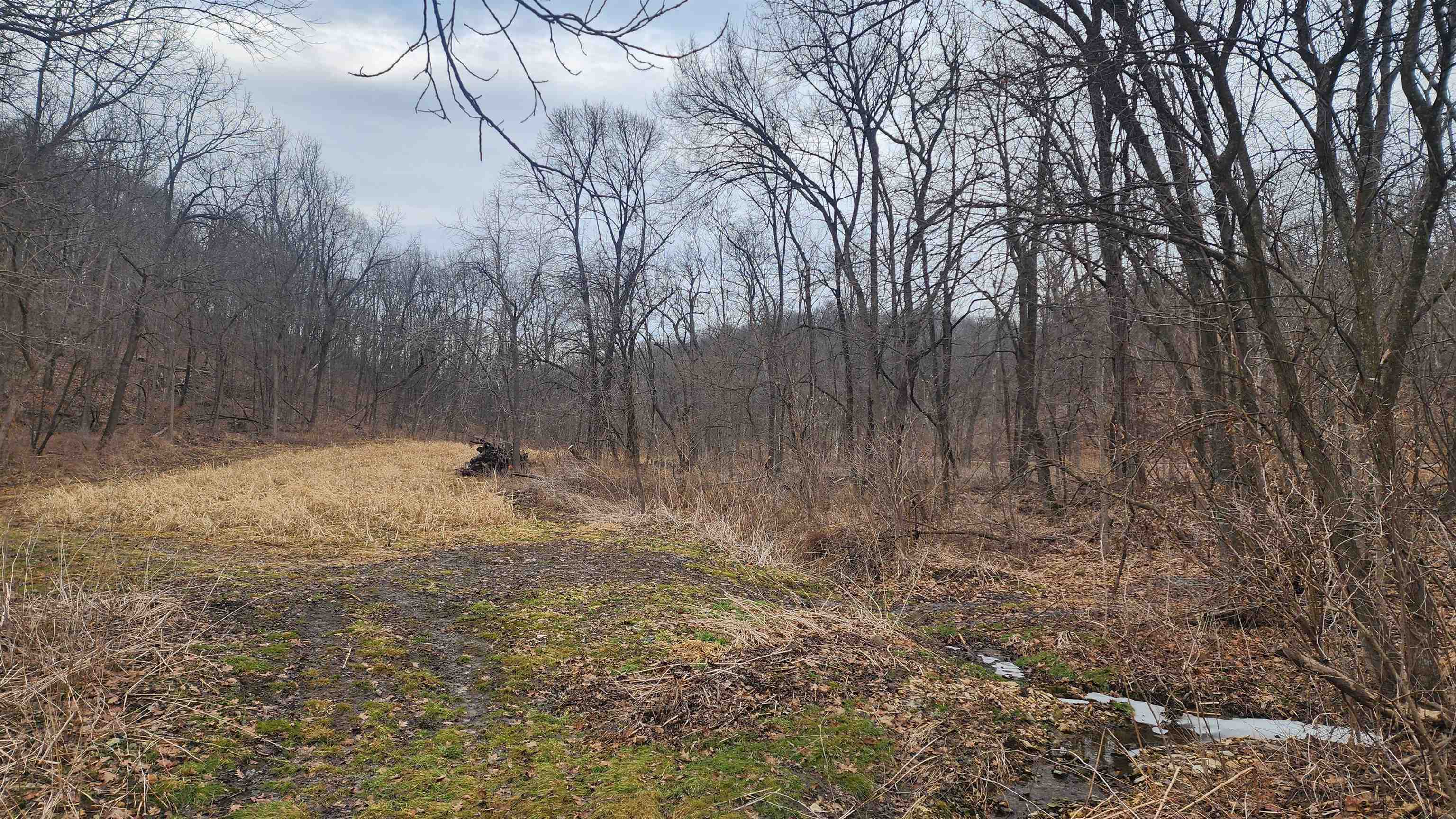 0 Vineyard Road Prairie du Chien, WI 53821 - Photo 11 of 49