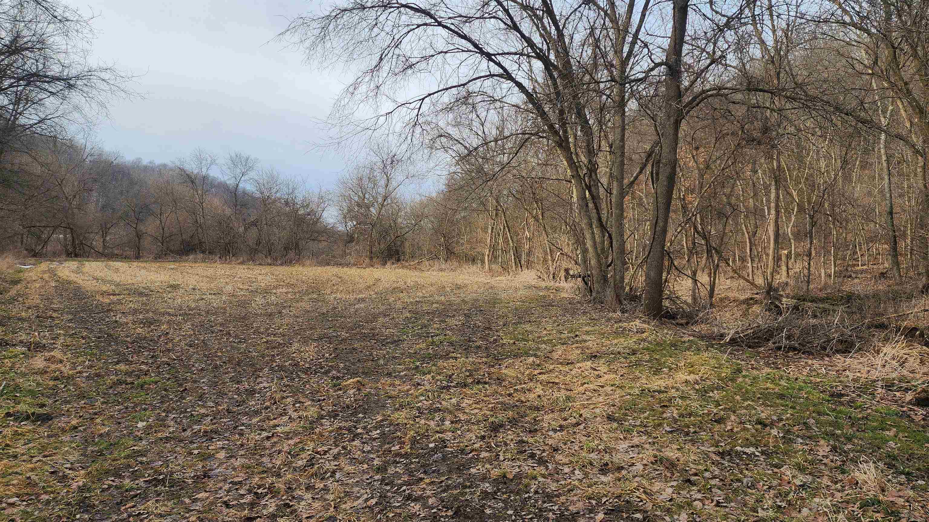 0 Vineyard Road Prairie du Chien, WI 53821 - Photo 14 of 49