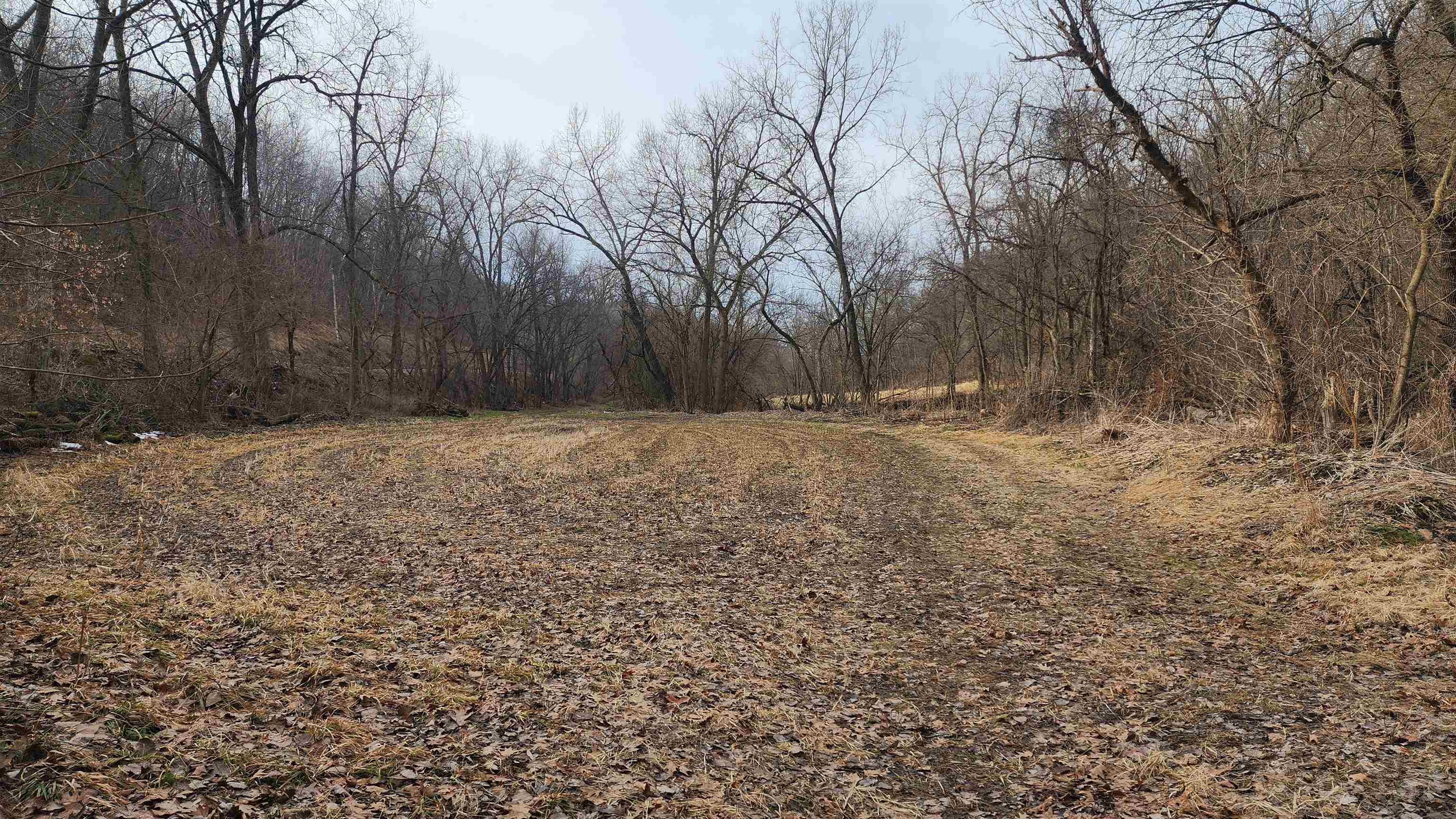 0 Vineyard Road Prairie du Chien, WI 53821 - Photo 15 of 49