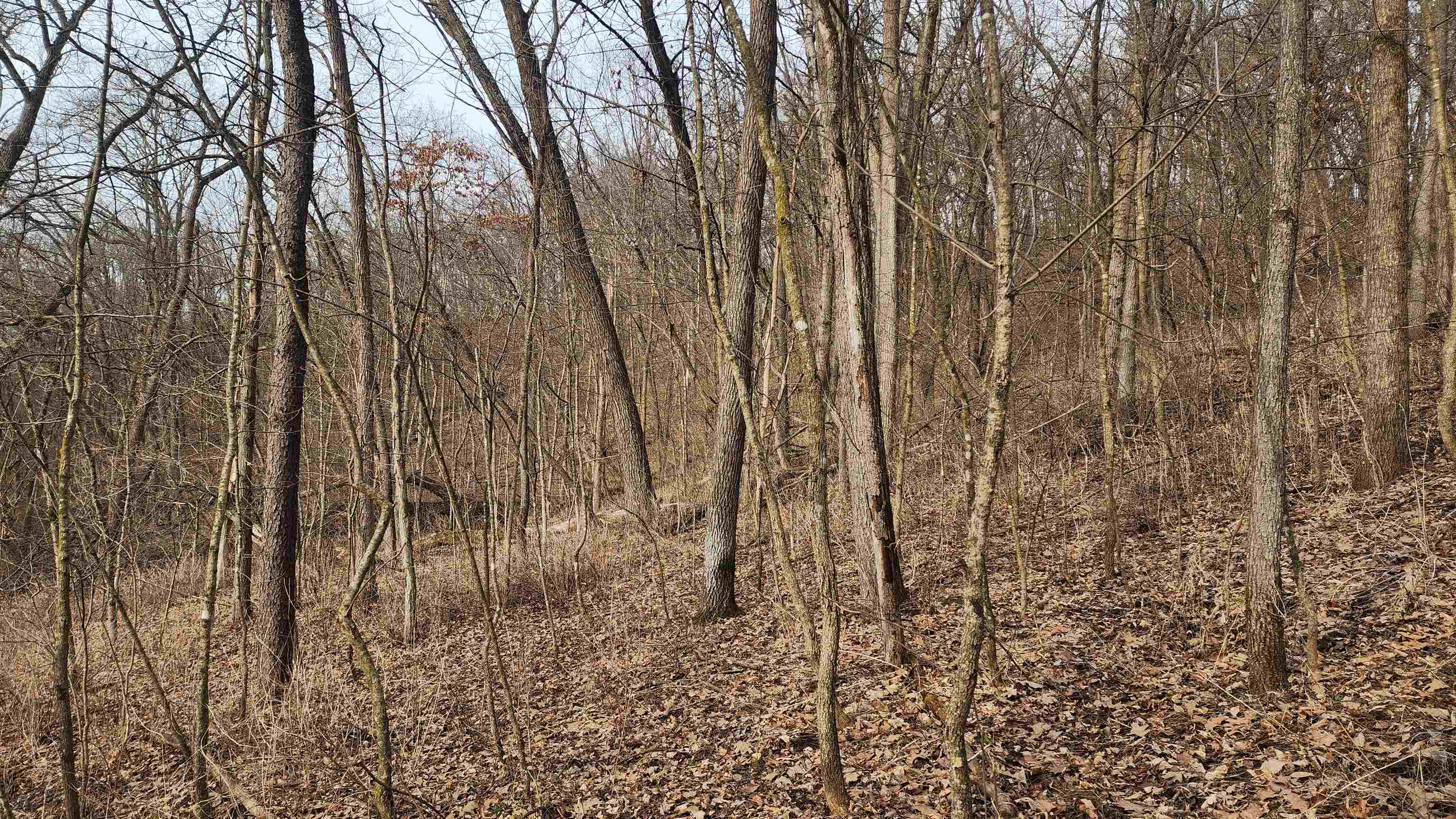 0 Vineyard Road Prairie du Chien, WI 53821 - Photo 16 of 49
