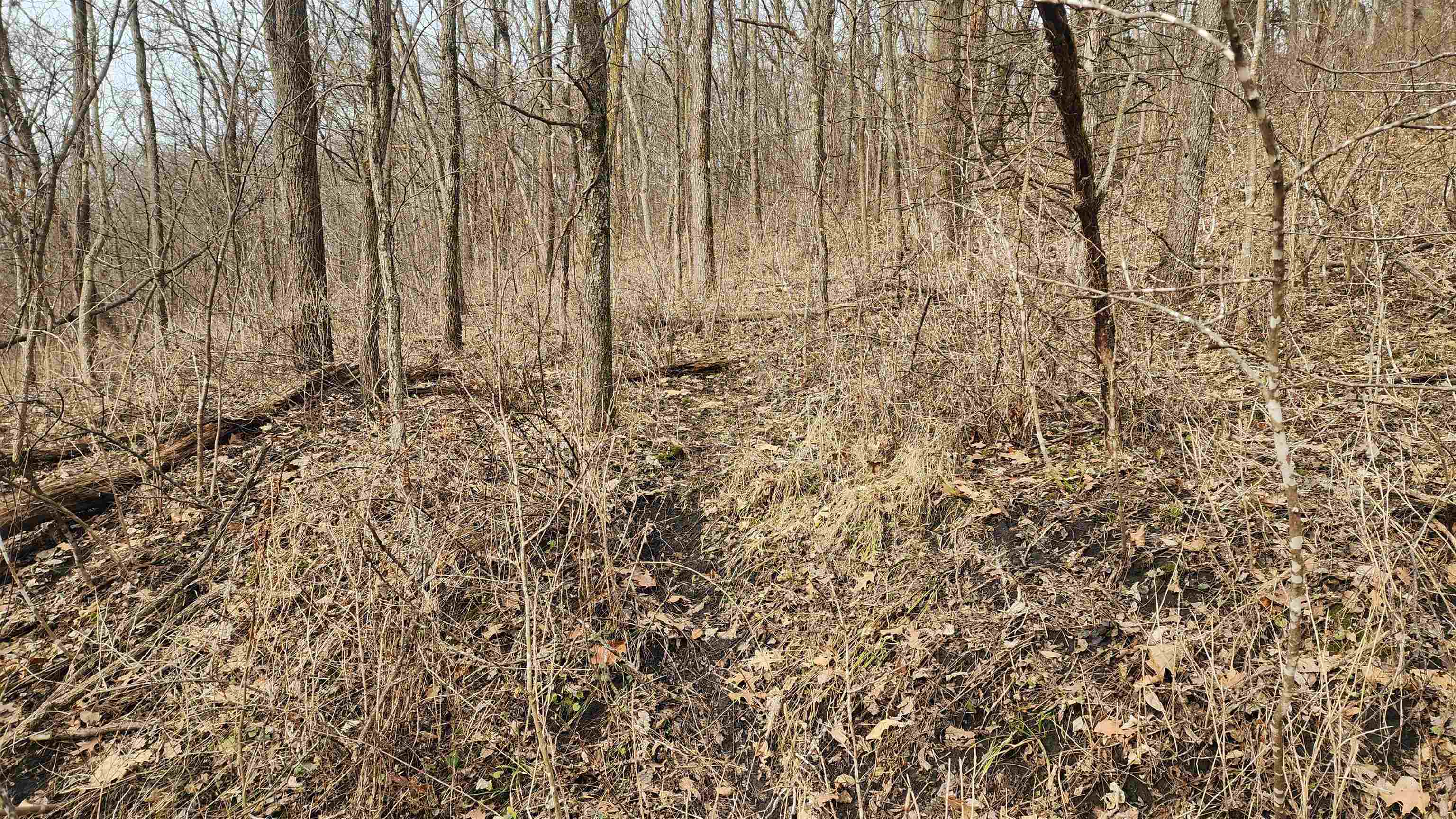 0 Vineyard Road Prairie du Chien, WI 53821 - Photo 20 of 49