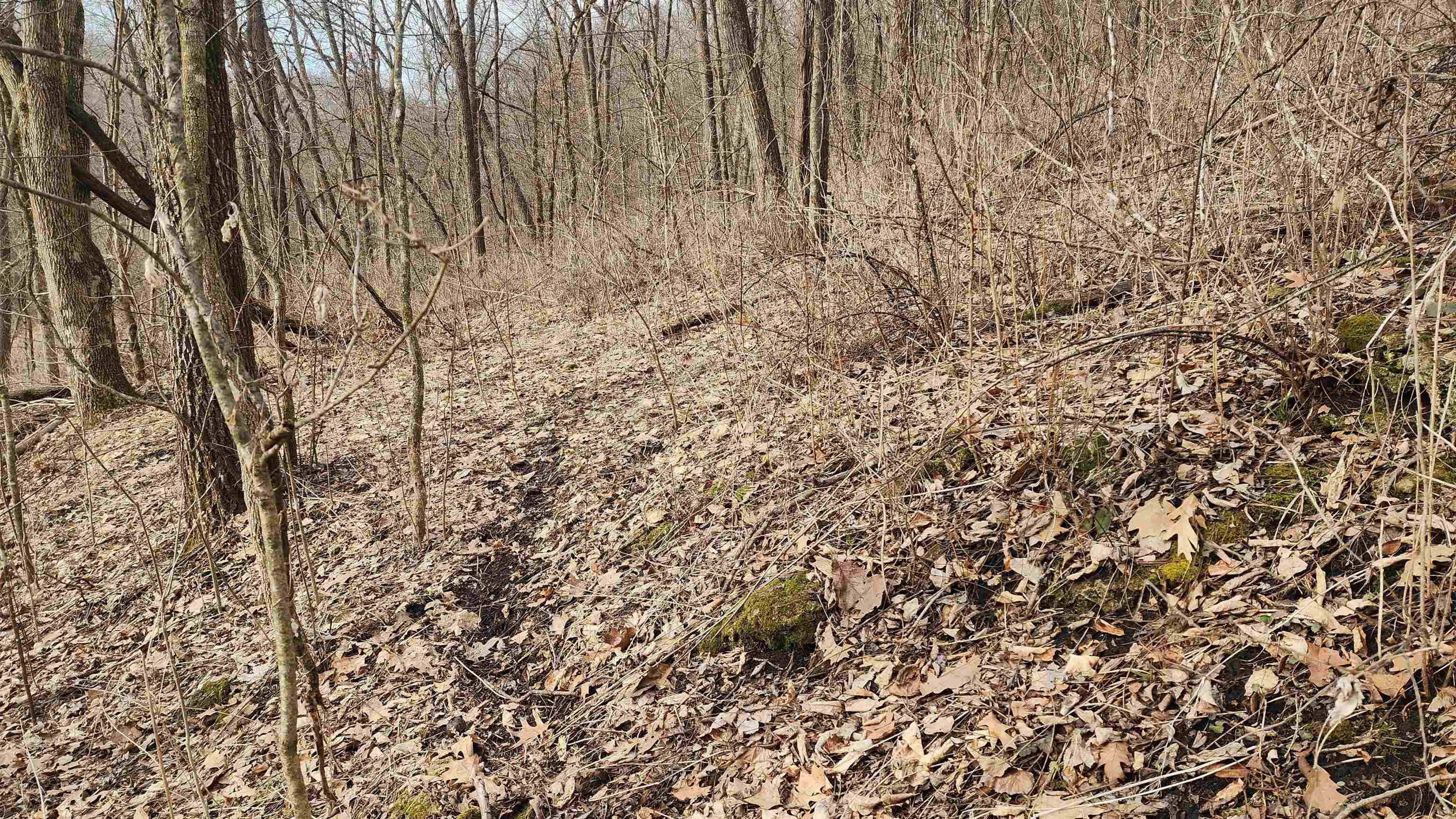 0 Vineyard Road Prairie du Chien, WI 53821 - Photo 21 of 49