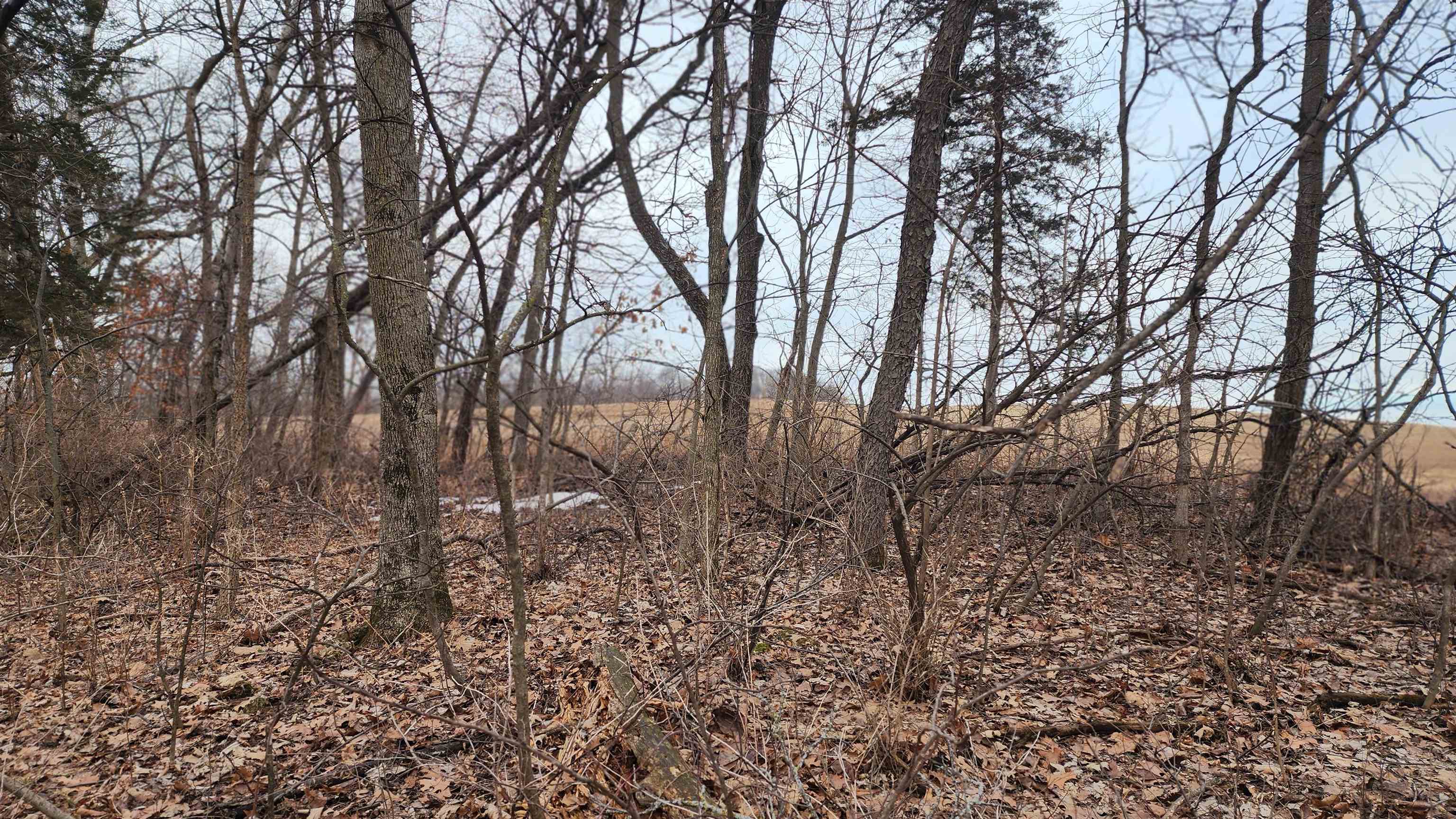 0 Vineyard Road Prairie du Chien, WI 53821 - Photo 22 of 49