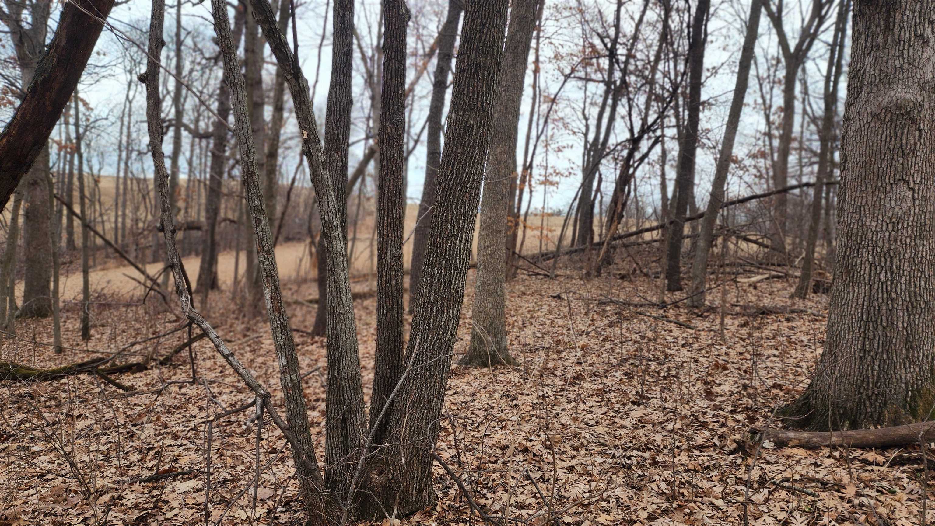 0 Vineyard Road Prairie du Chien, WI 53821 - Photo 24 of 49