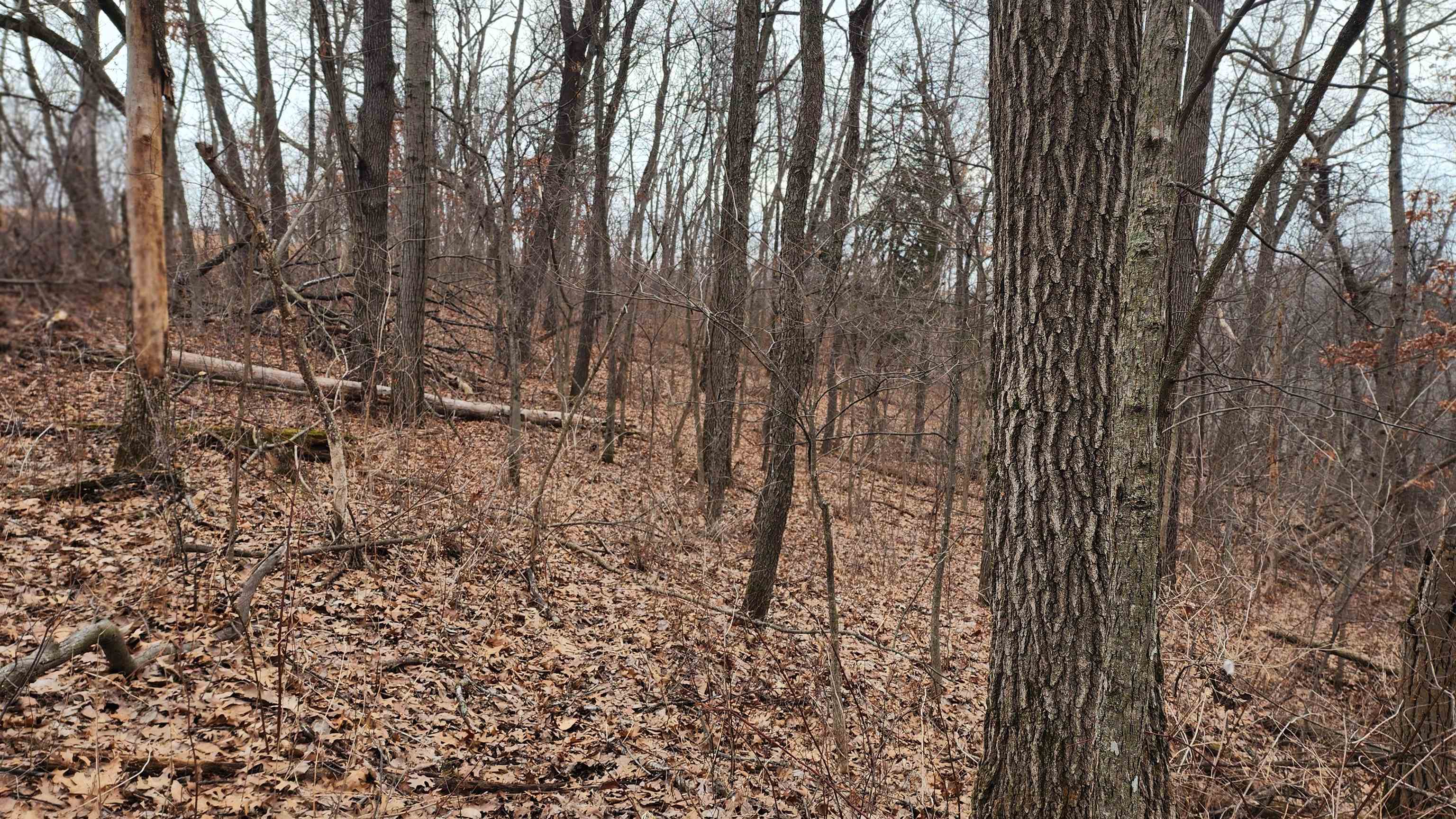 0 Vineyard Road Prairie du Chien, WI 53821 - Photo 25 of 49