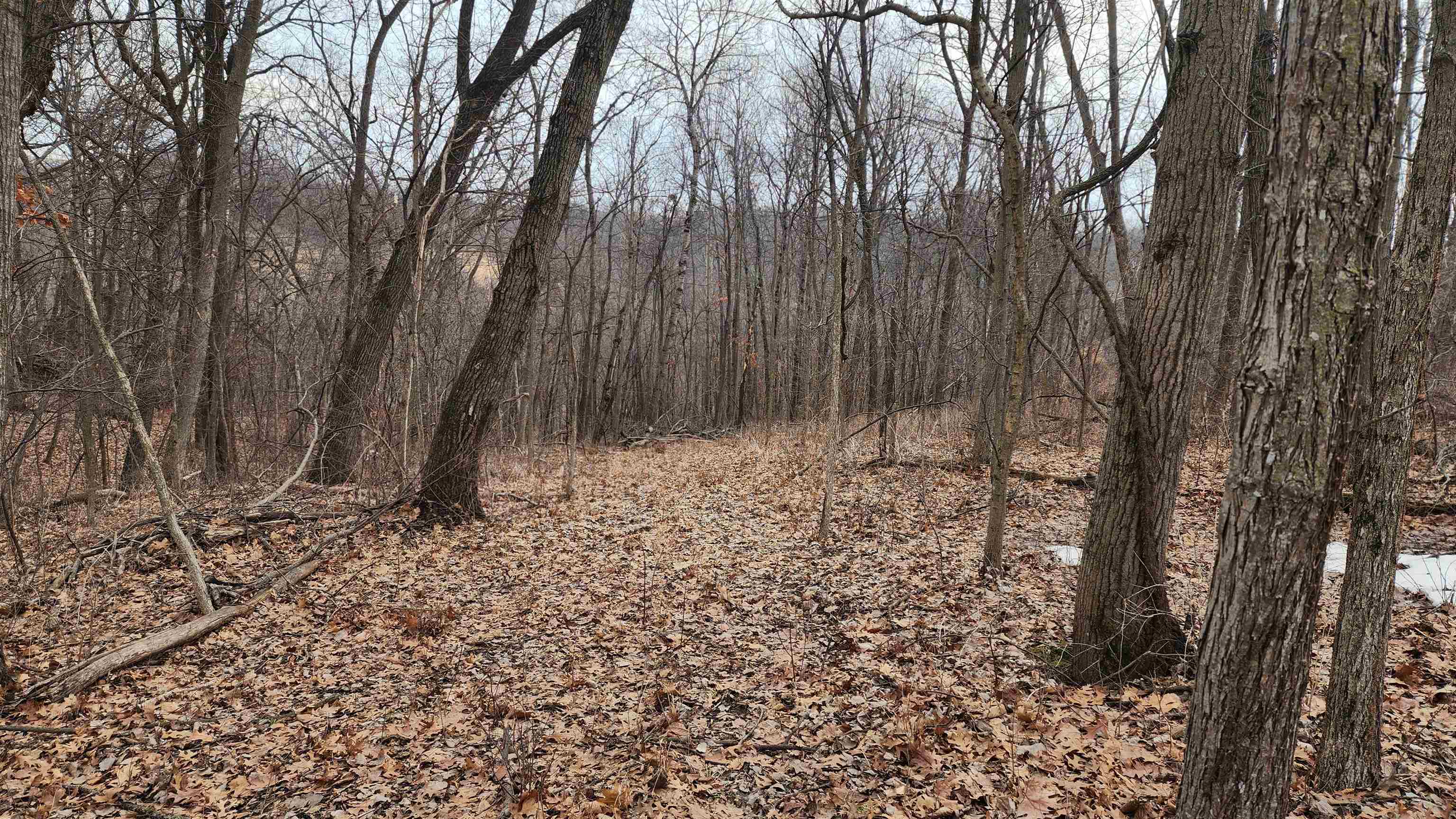 0 Vineyard Road Prairie du Chien, WI 53821 - Photo 26 of 49