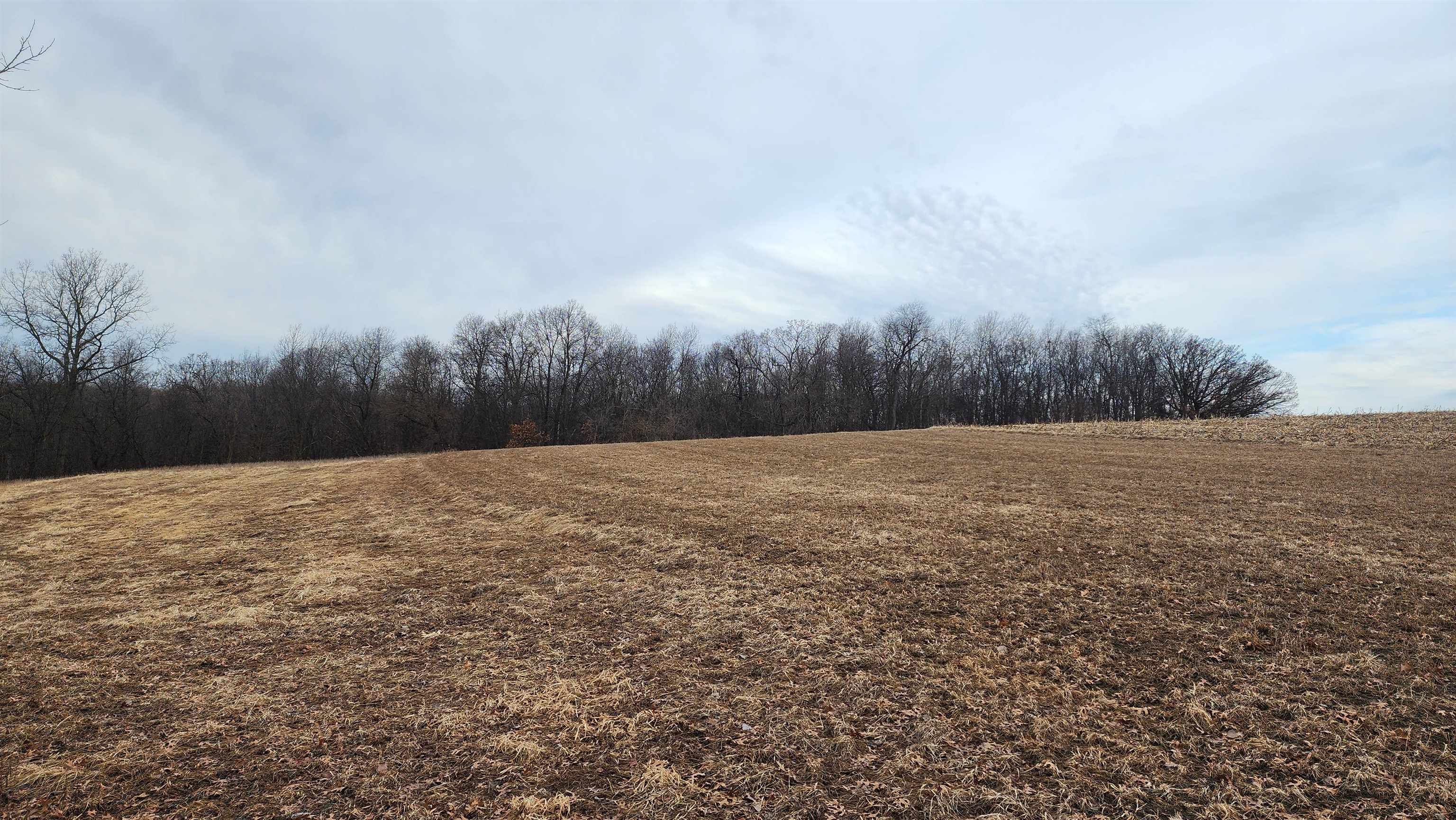 0 Vineyard Road Prairie du Chien, WI 53821 - Photo 27 of 49