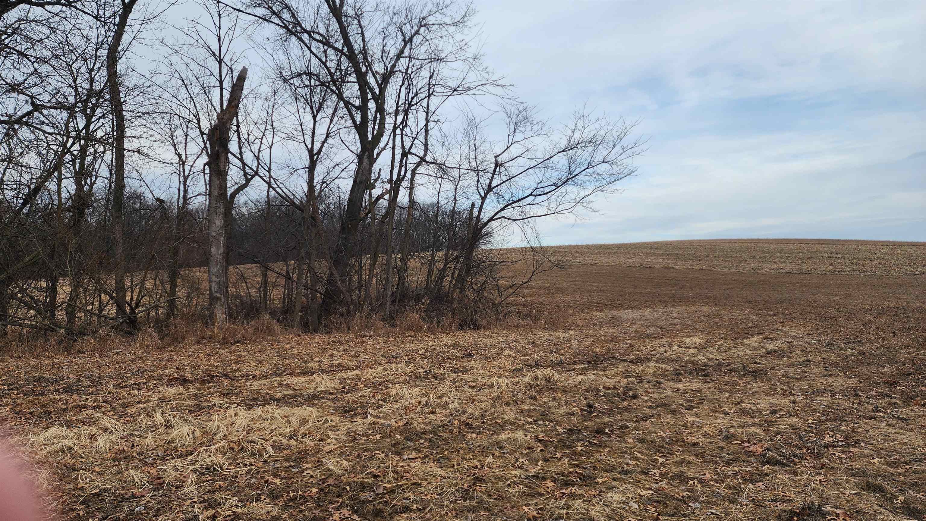 0 Vineyard Road Prairie du Chien, WI 53821 - Photo 28 of 49
