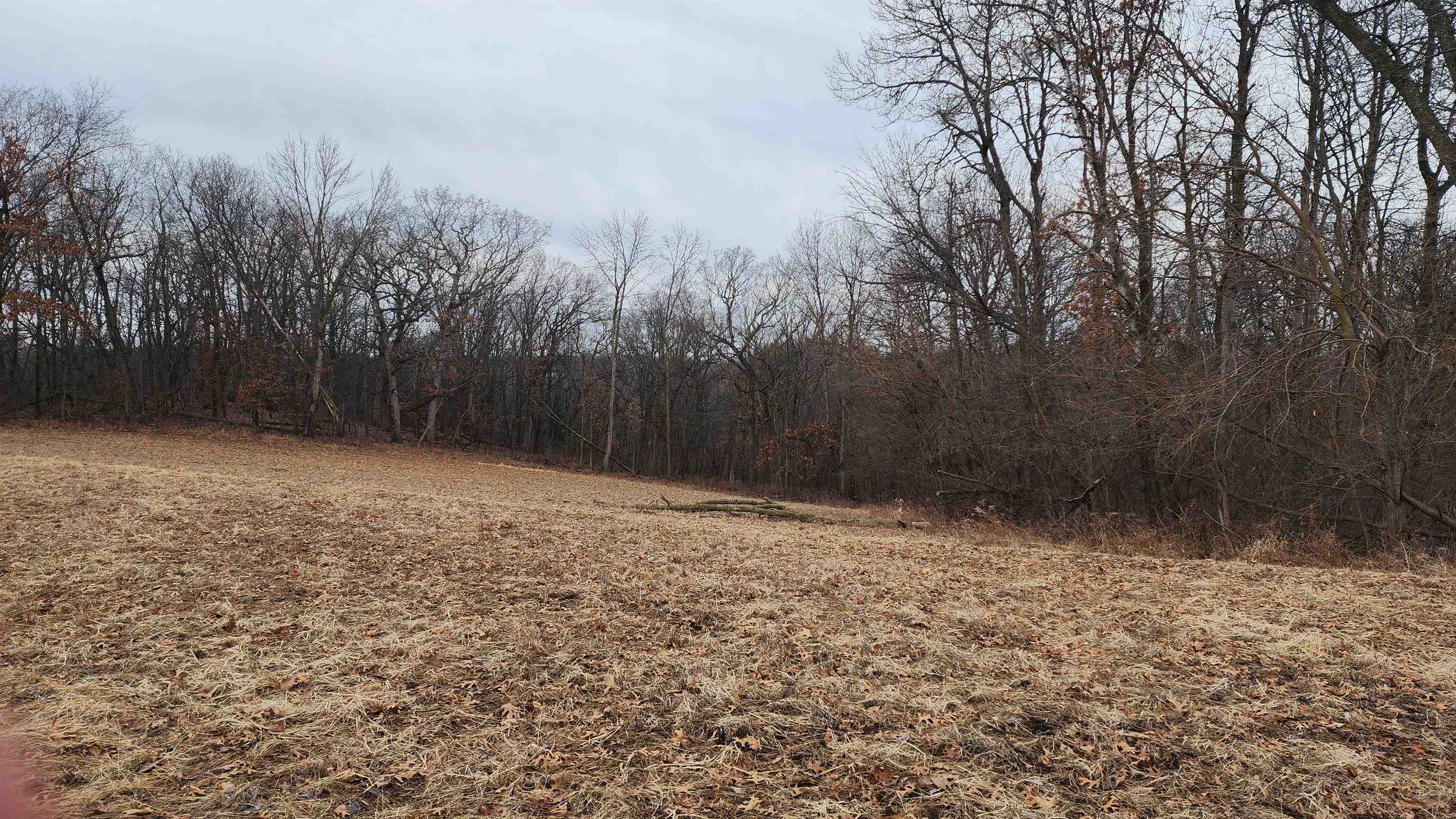 0 Vineyard Road Prairie du Chien, WI 53821 - Photo 29 of 49