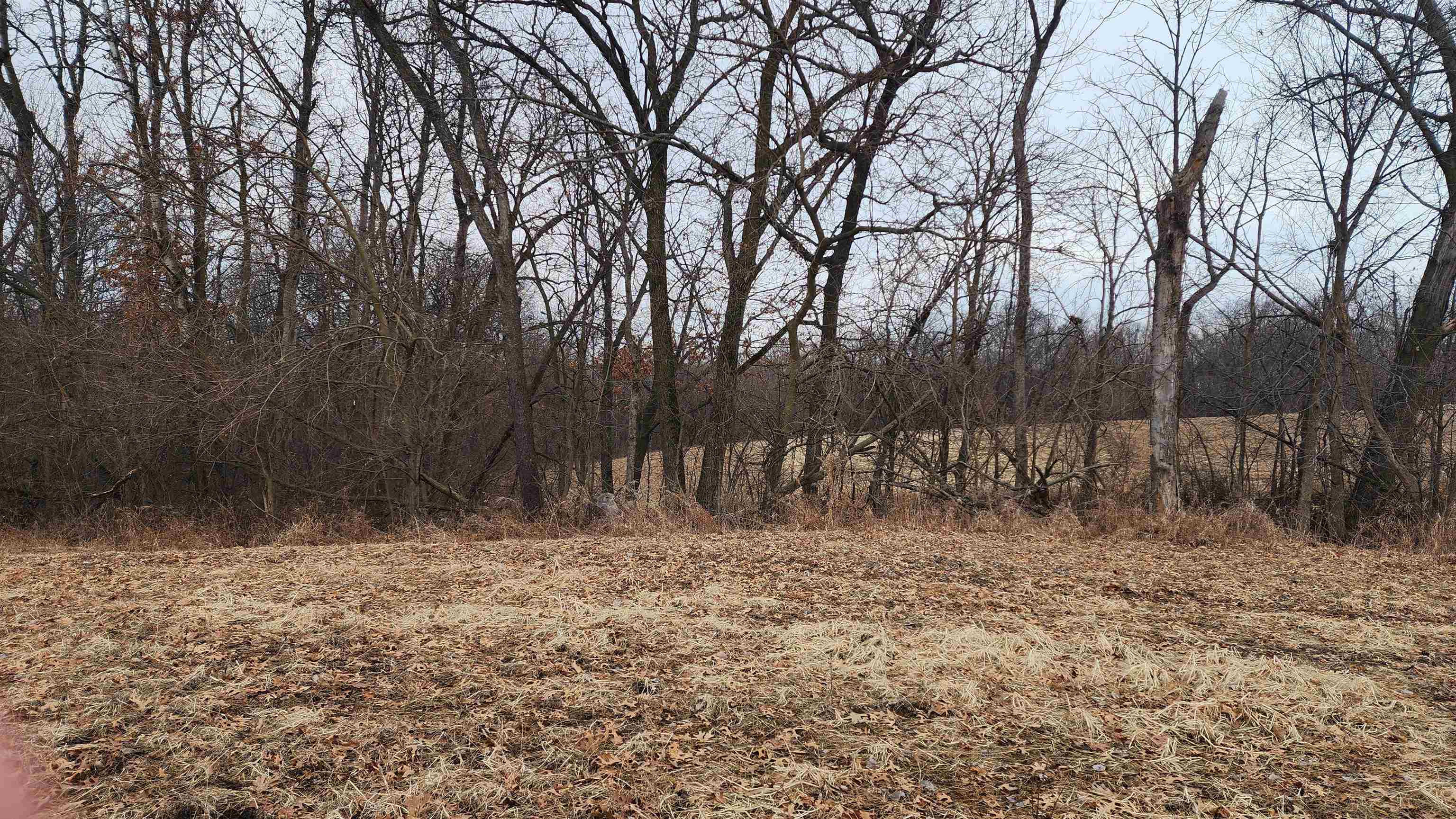 0 Vineyard Road Prairie du Chien, WI 53821 - Photo 30 of 49