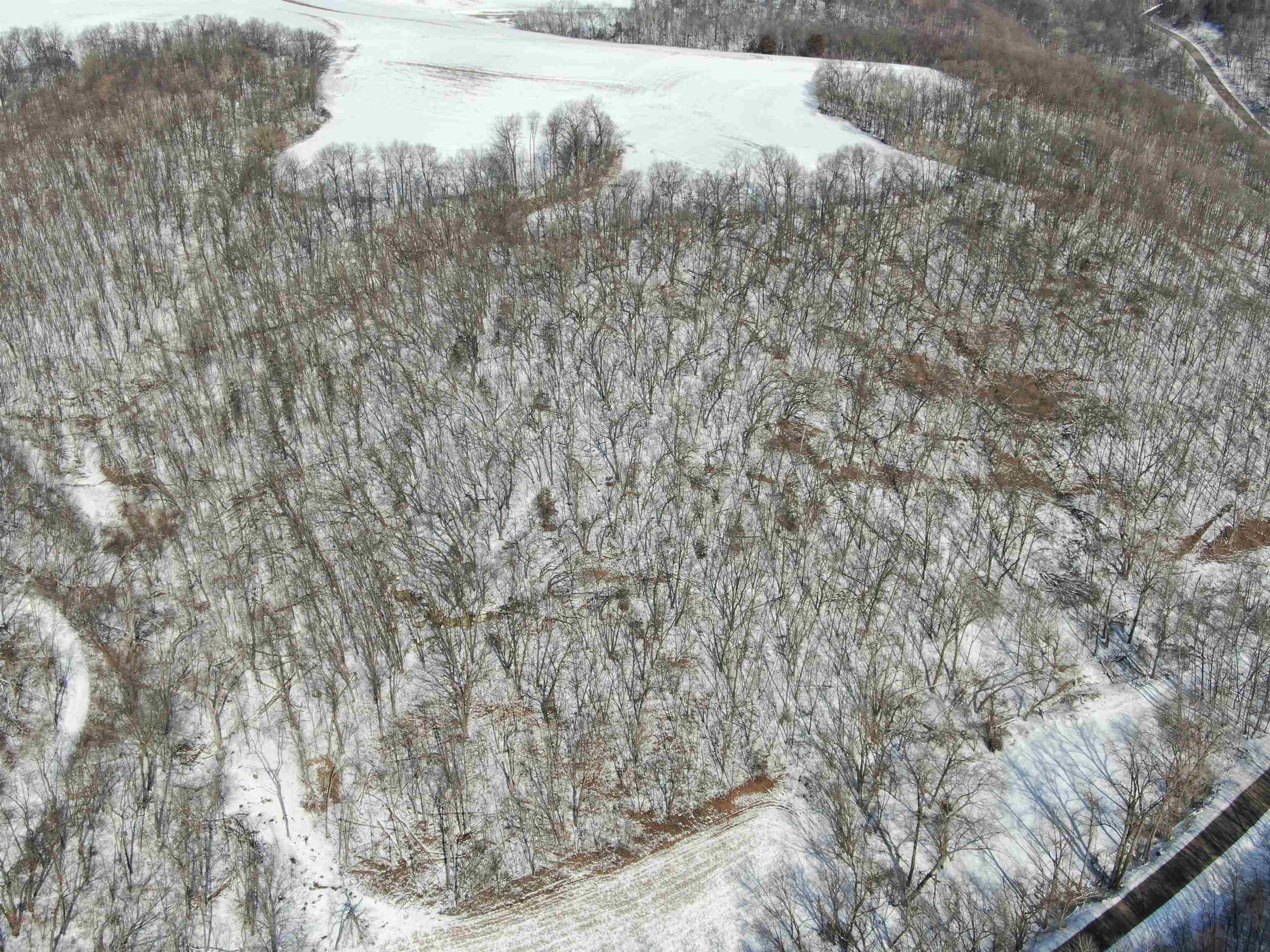 0 Vineyard Road Prairie du Chien, WI 53821 - Photo 3 of 49