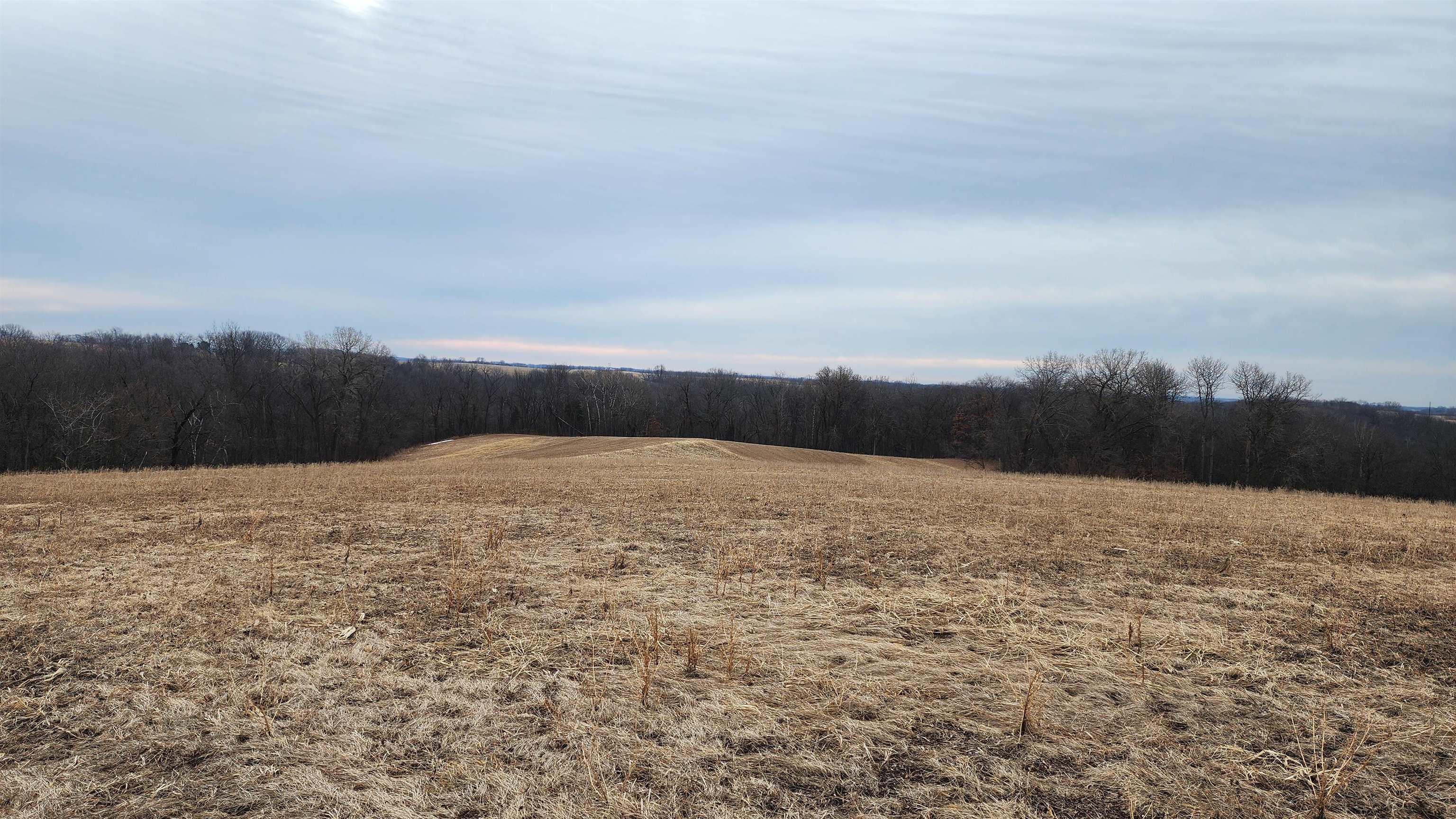0 Vineyard Road Prairie du Chien, WI 53821 - Photo 32 of 49