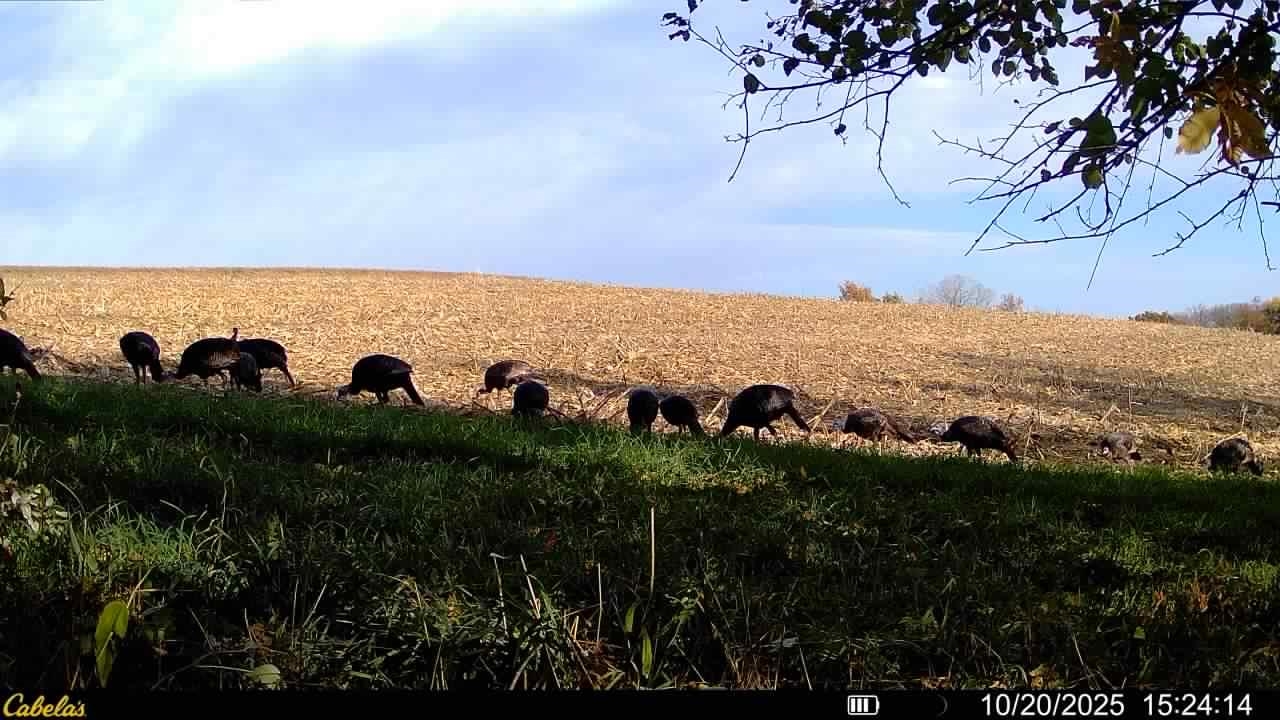 0 Vineyard Road Prairie du Chien, WI 53821 - Photo 33 of 49