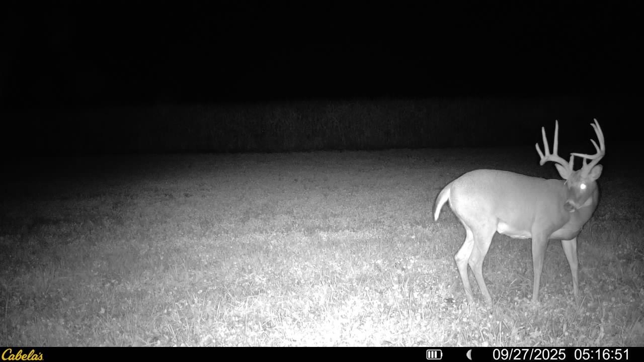 0 Vineyard Road Prairie du Chien, WI 53821 - Photo 34 of 49
