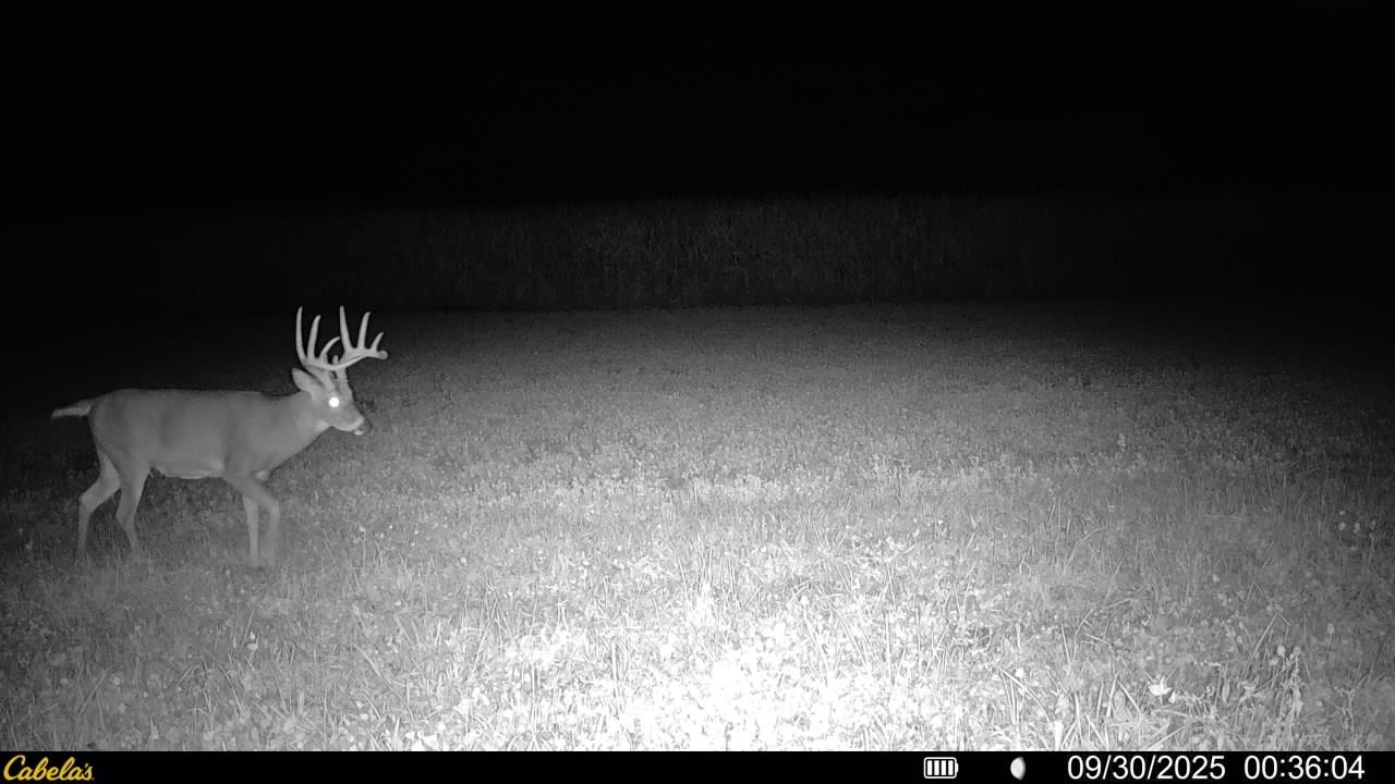 0 Vineyard Road Prairie du Chien, WI 53821 - Photo 35 of 49