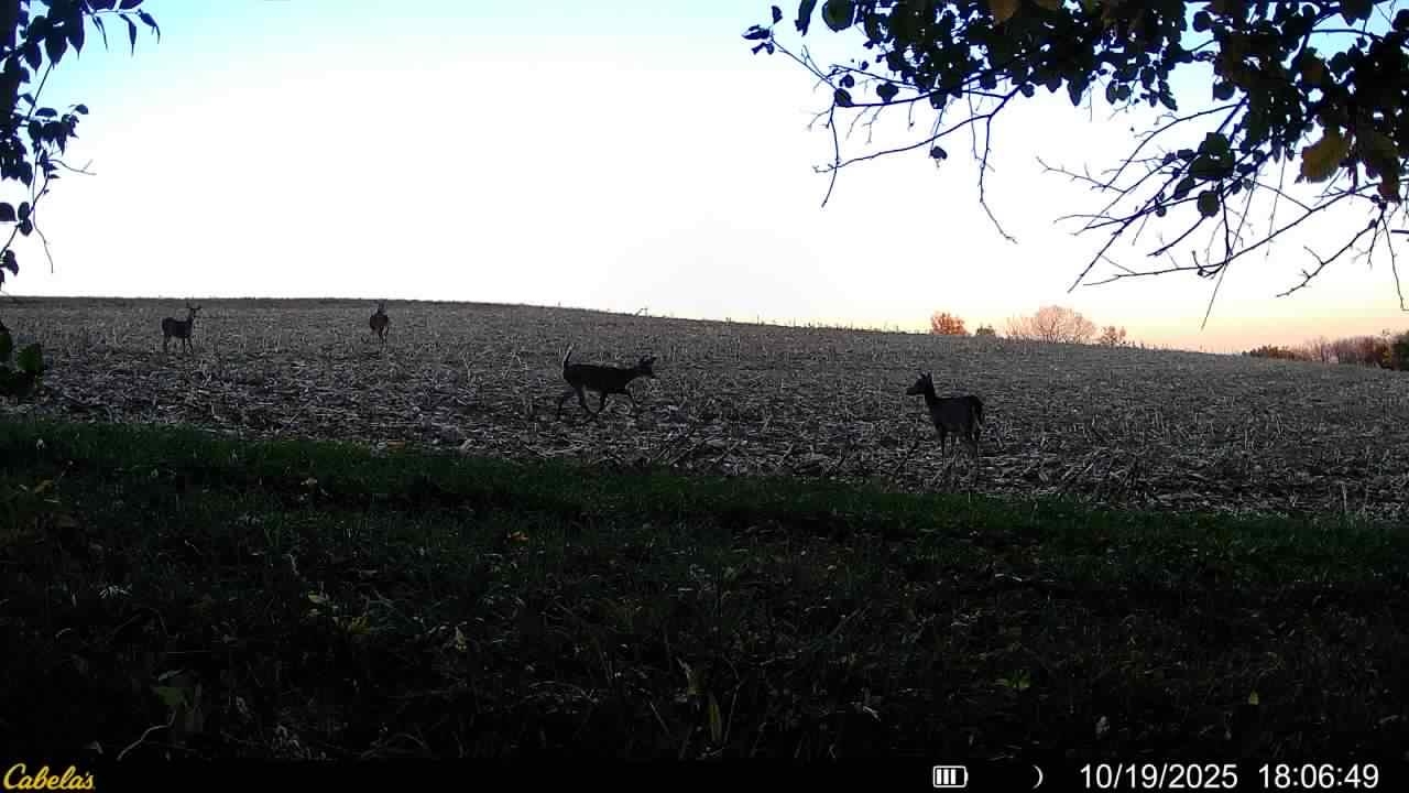 0 Vineyard Road Prairie du Chien, WI 53821 - Photo 36 of 49
