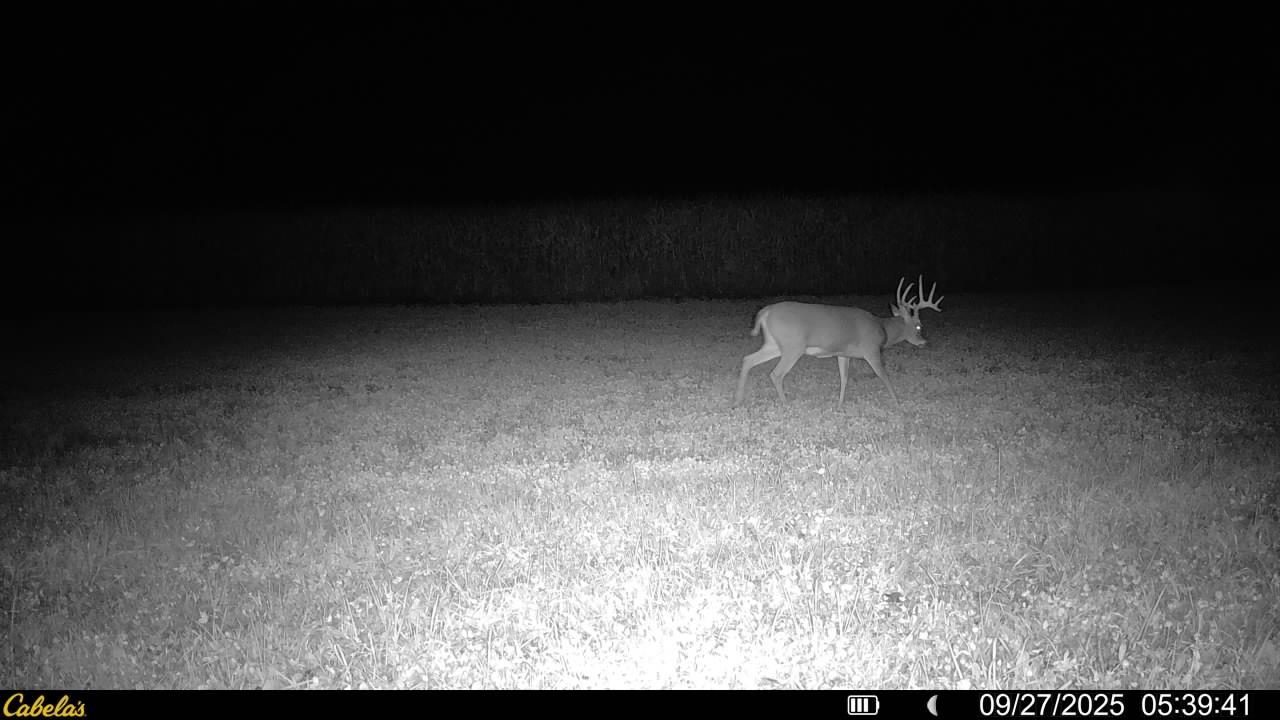 0 Vineyard Road Prairie du Chien, WI 53821 - Photo 37 of 49